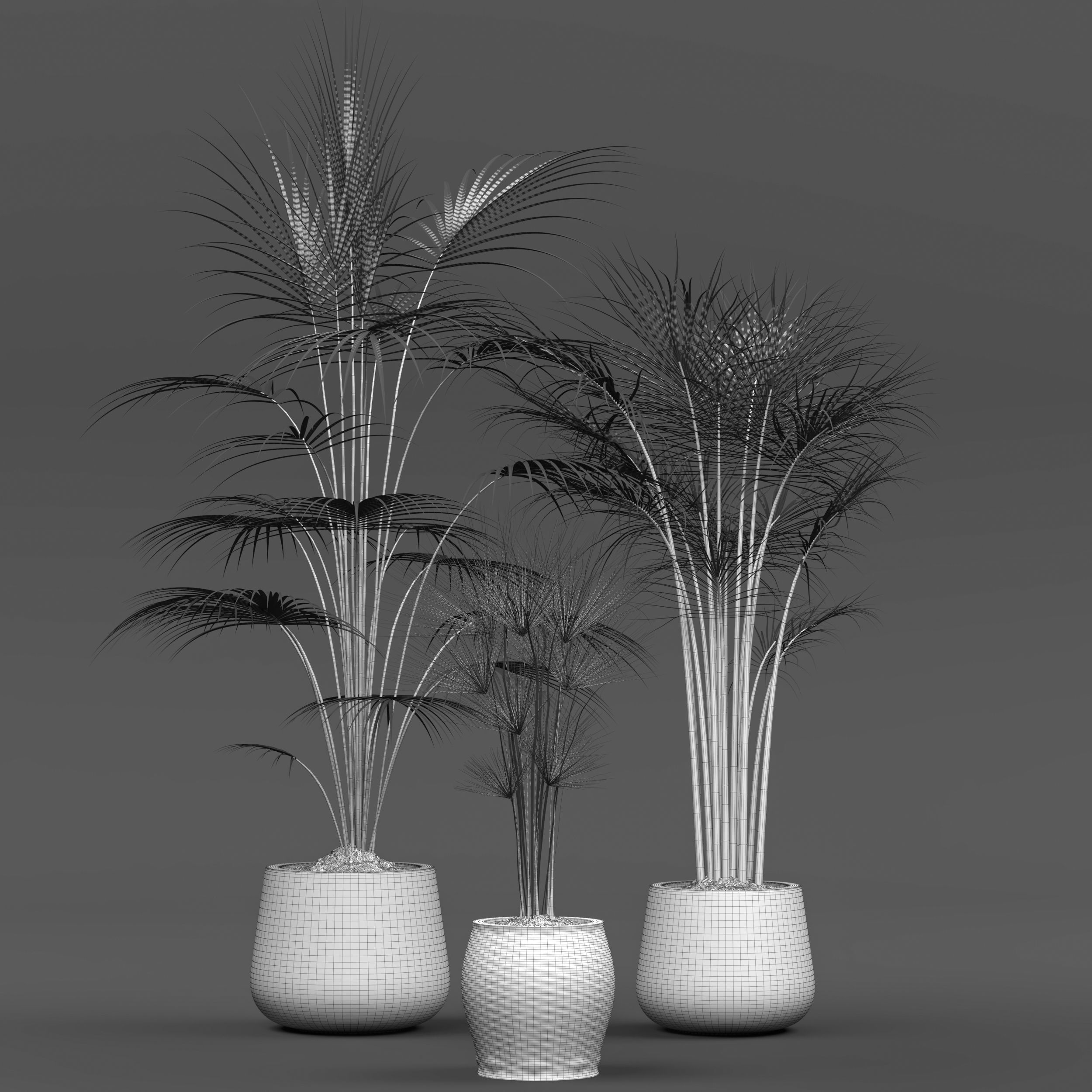 Collection of plants Free 3D model_1