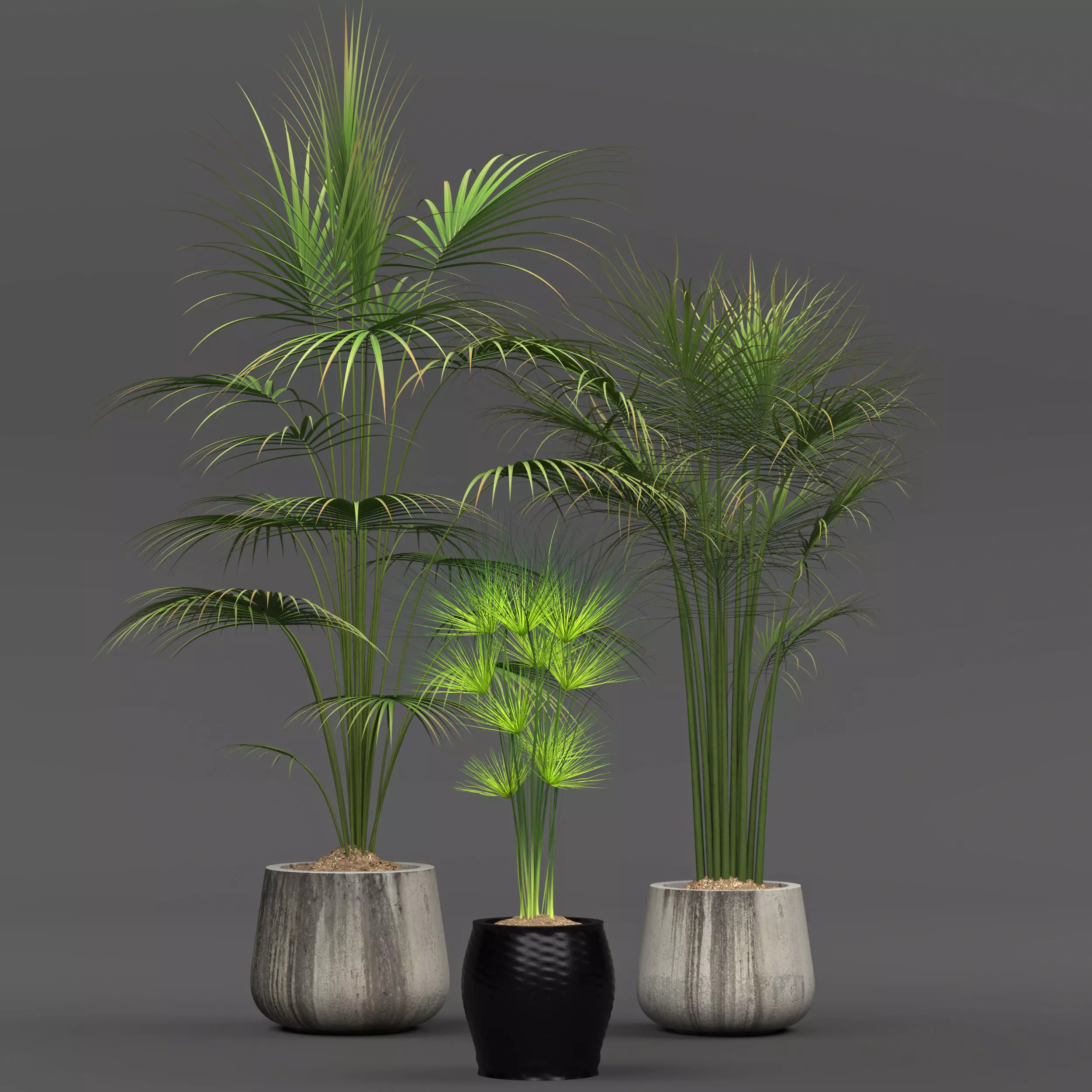 Collection of plants Free 3D model_0