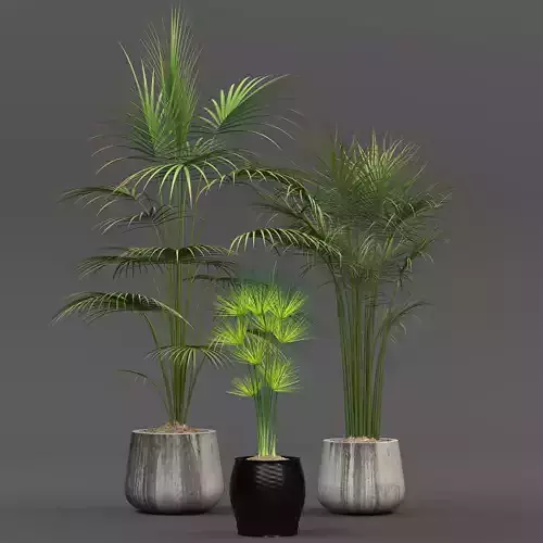 Collection of plants Free 3D model