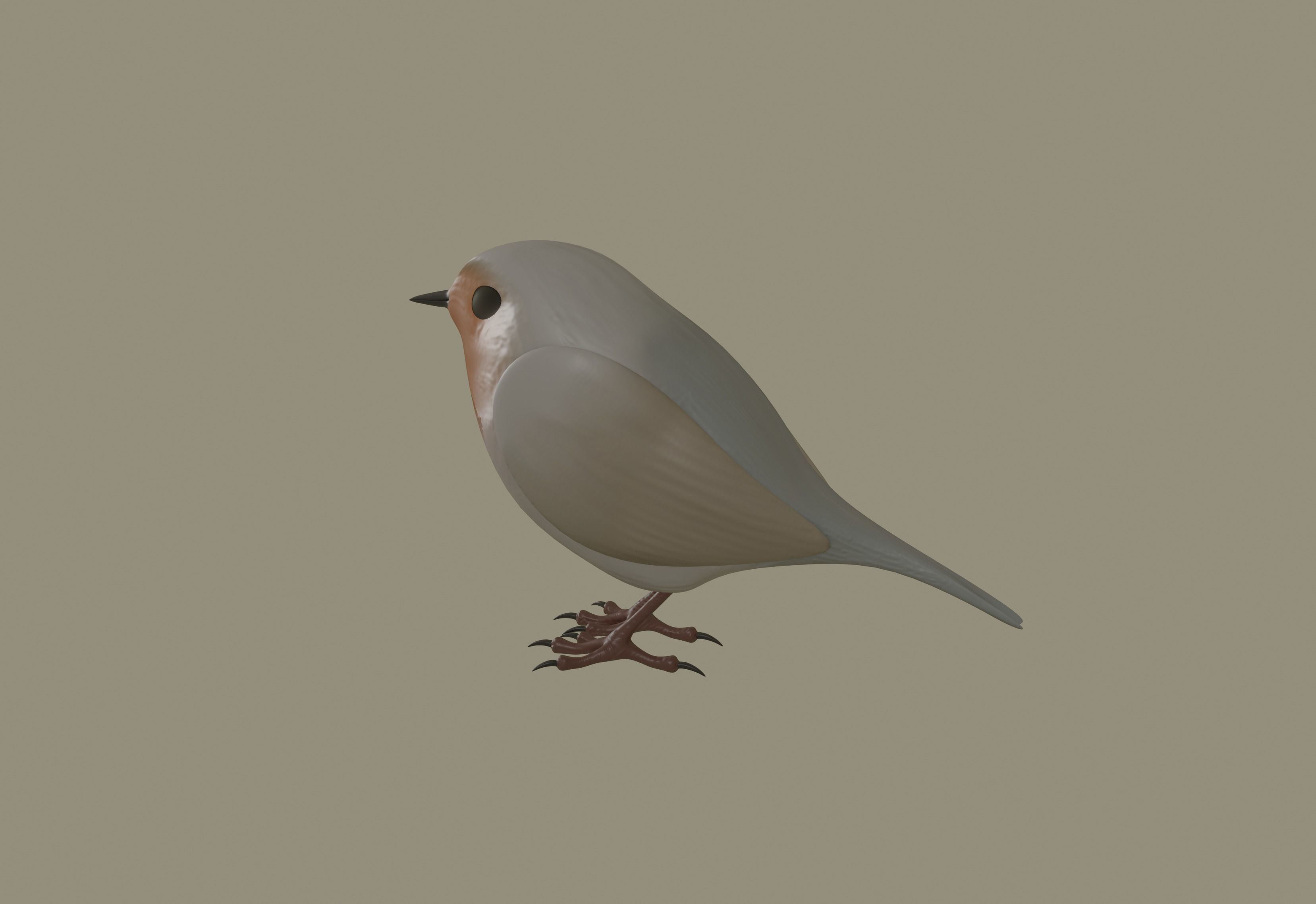 European Robin Bird 3D model_1