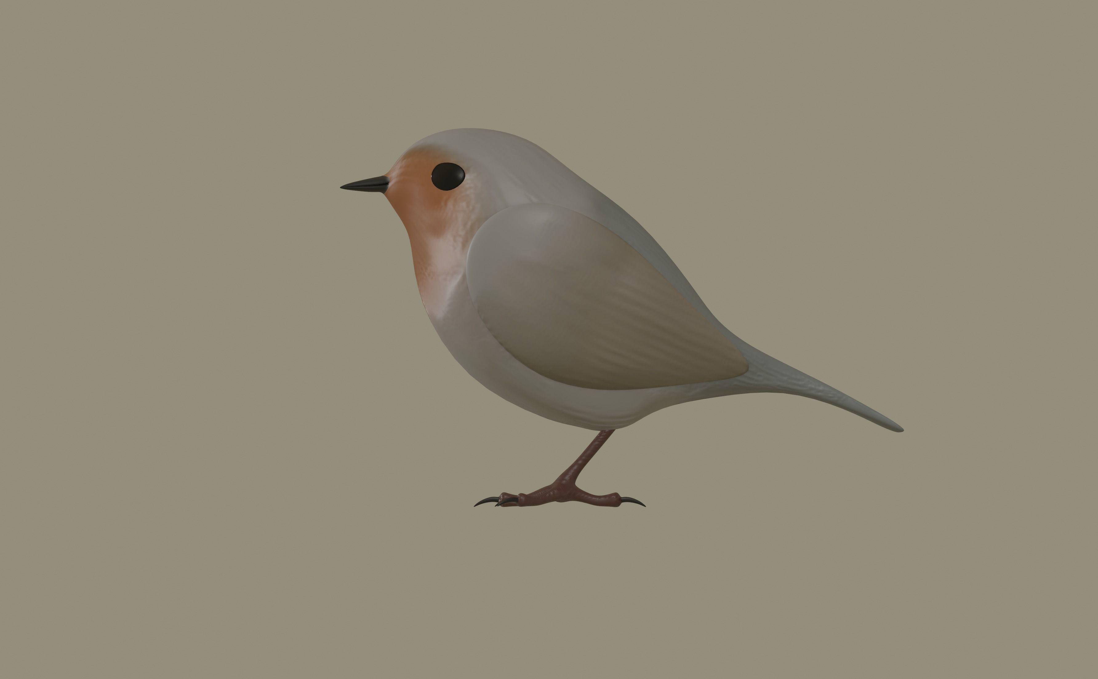 European Robin Bird 3D model_6
