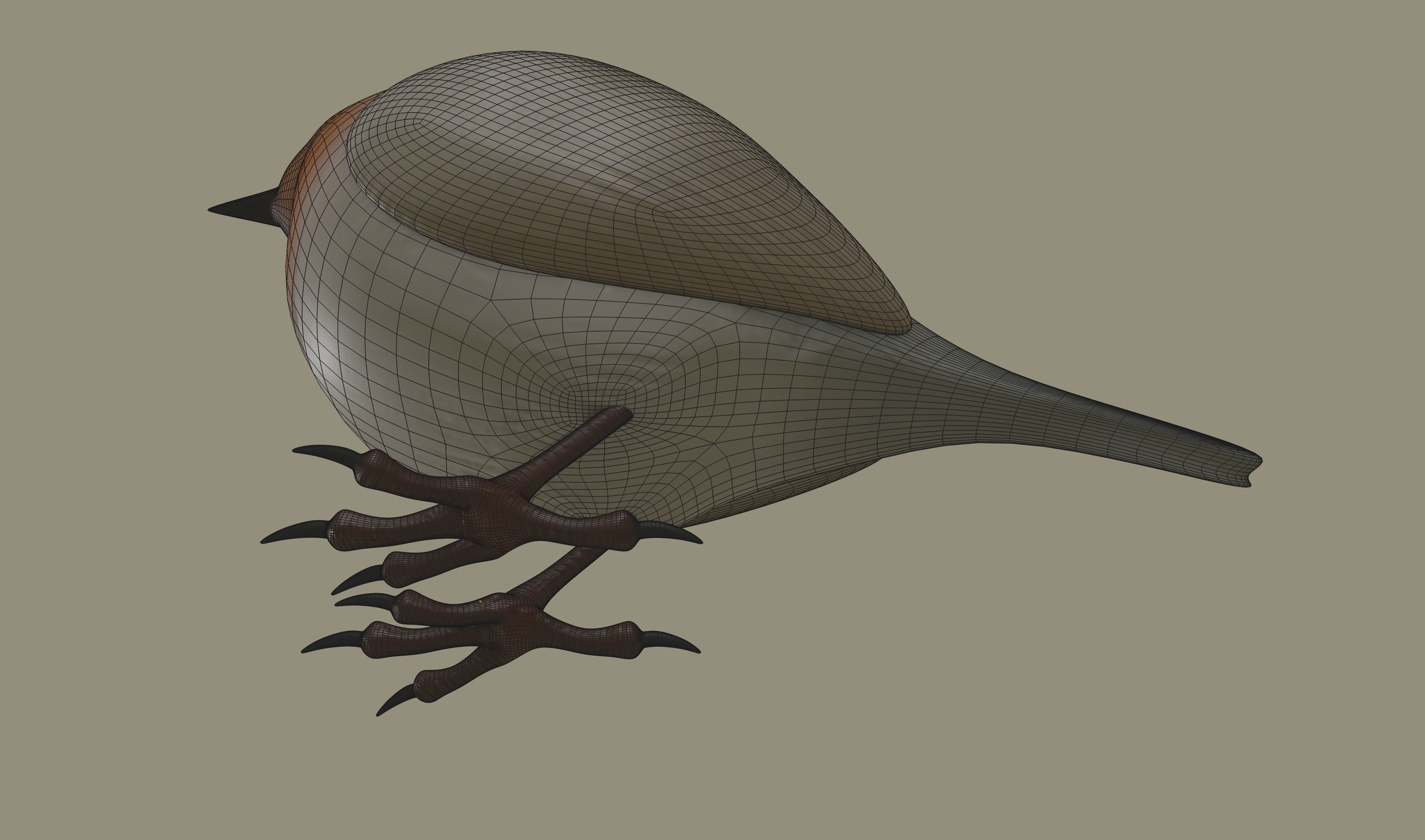 European Robin Bird 3D model_16