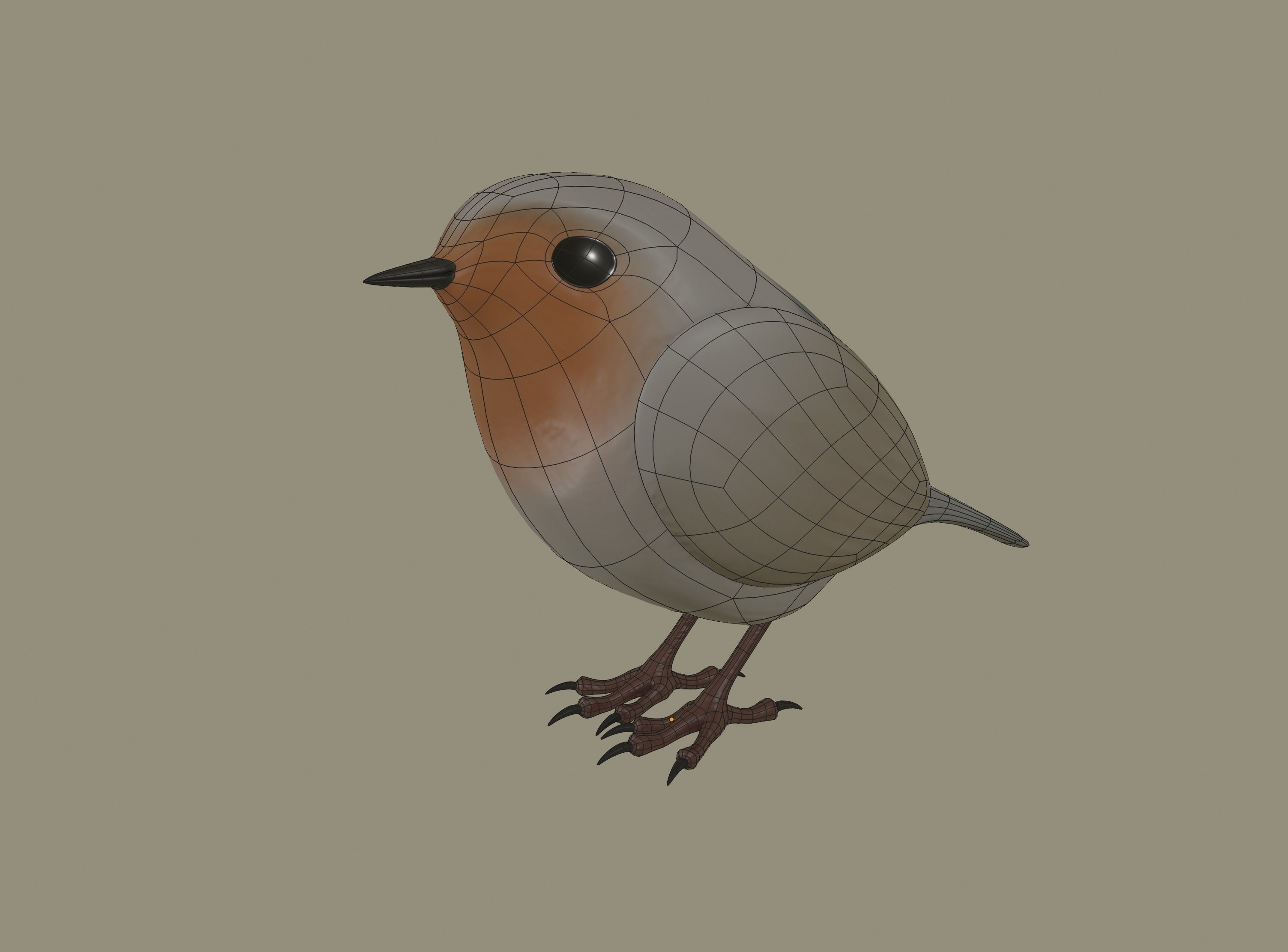 European Robin Bird 3D model_14