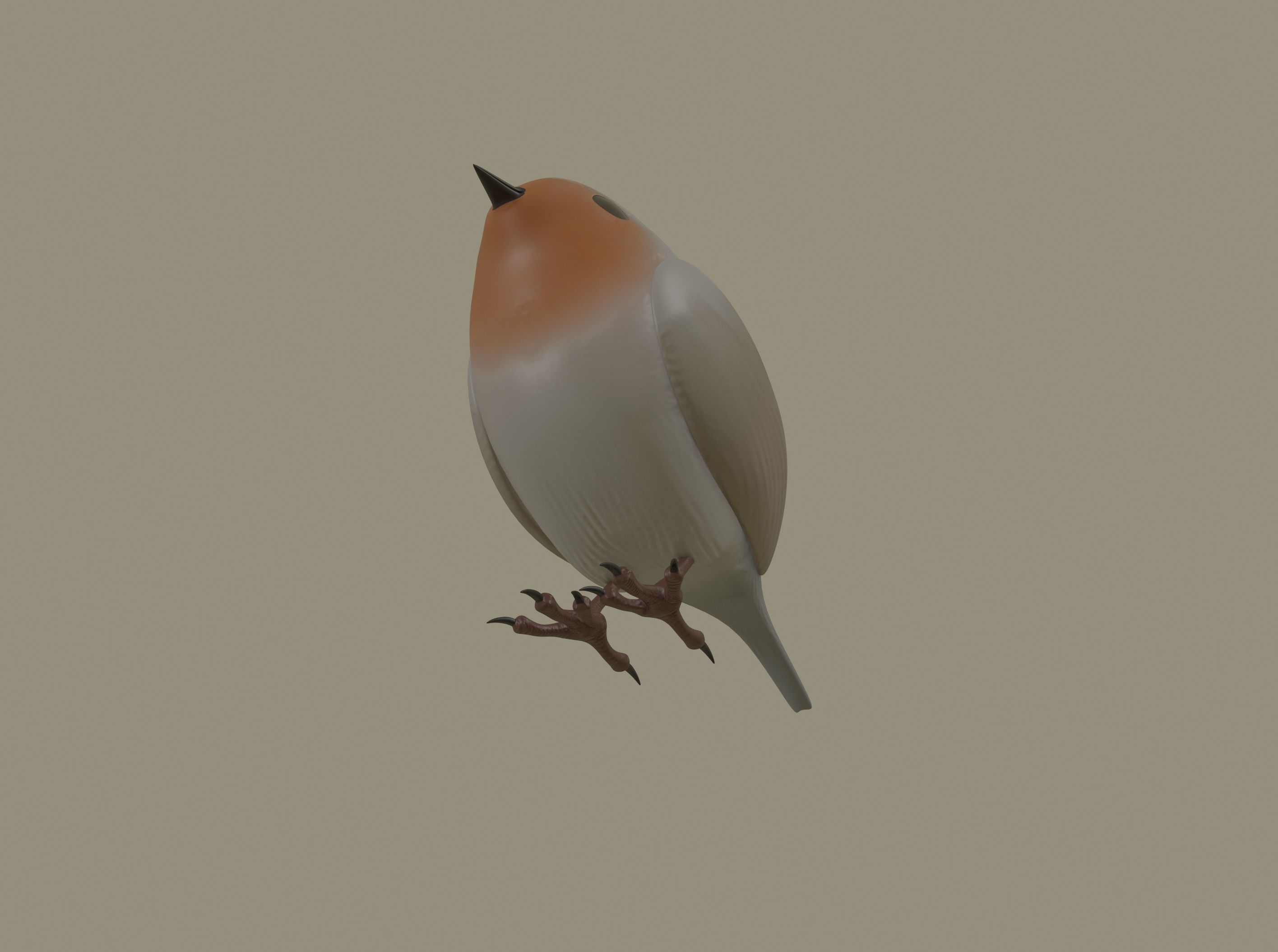 European Robin Bird 3D model_3
