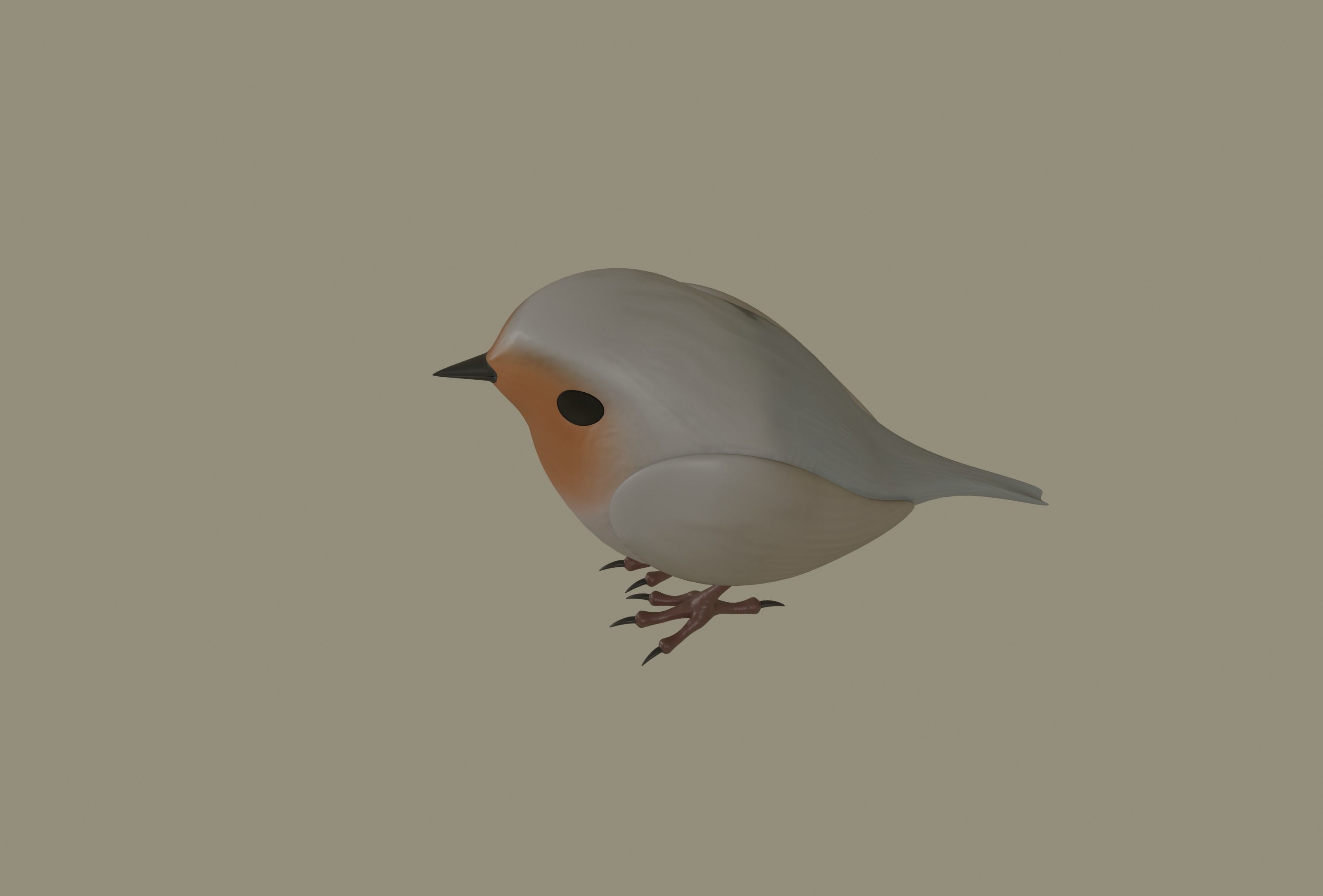 European Robin Bird 3D model_2