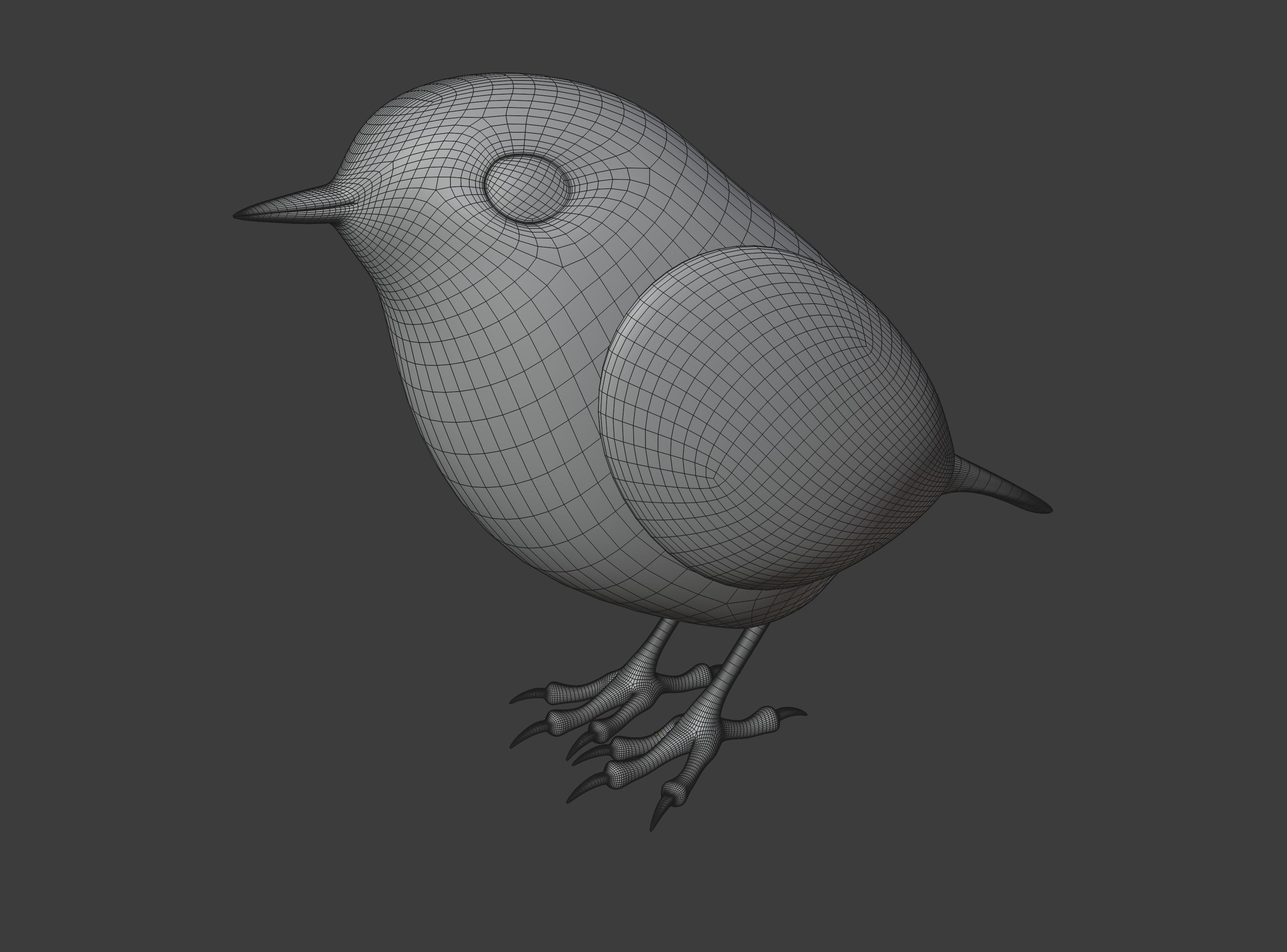 European Robin Bird 3D model_17