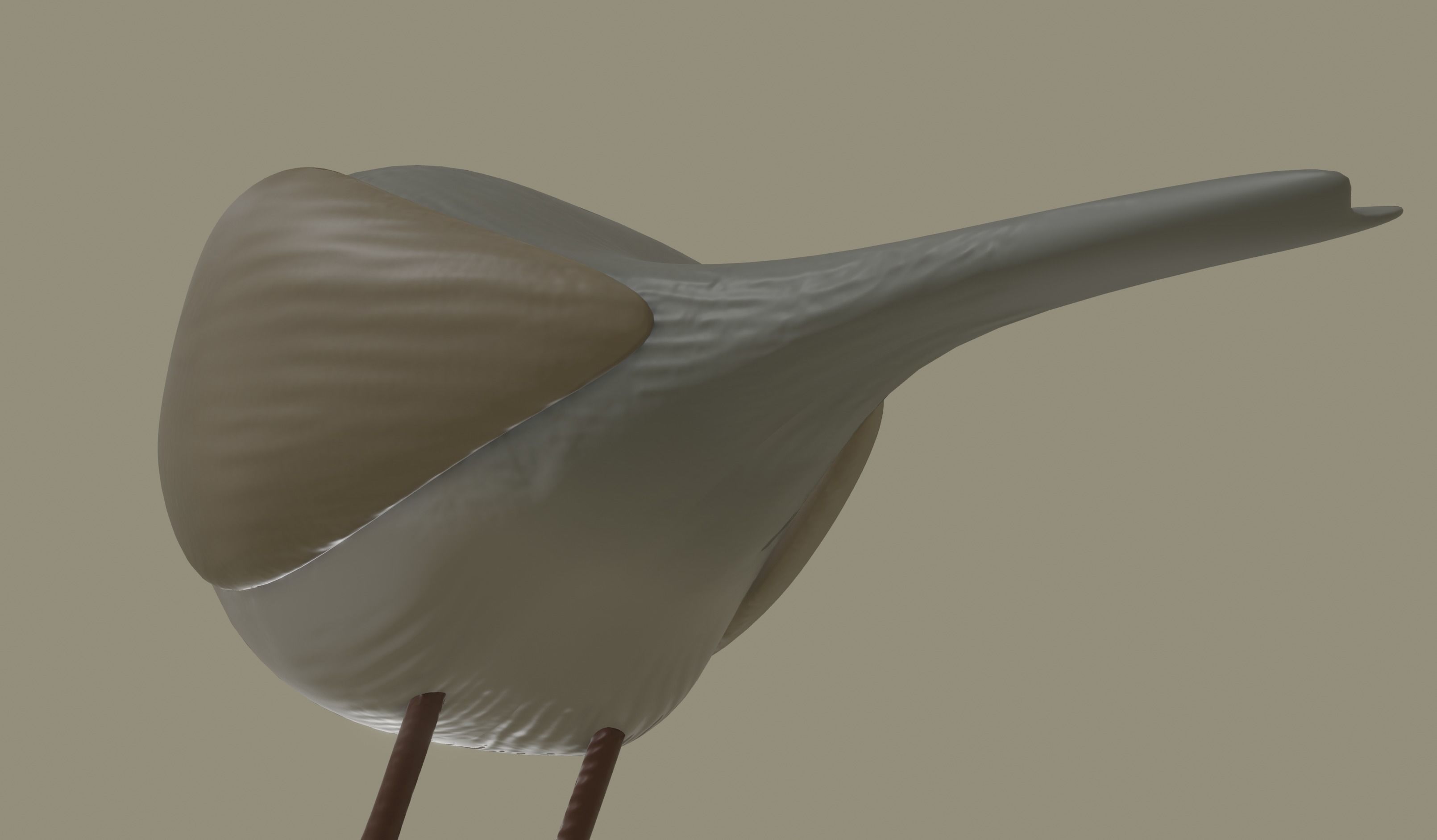 European Robin Bird 3D model_8