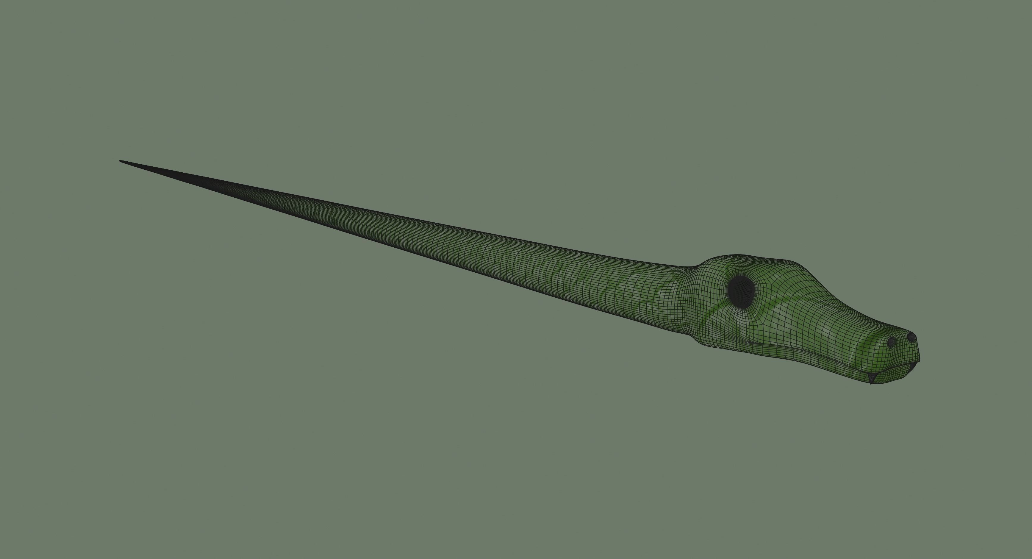 Snake 3D model_9