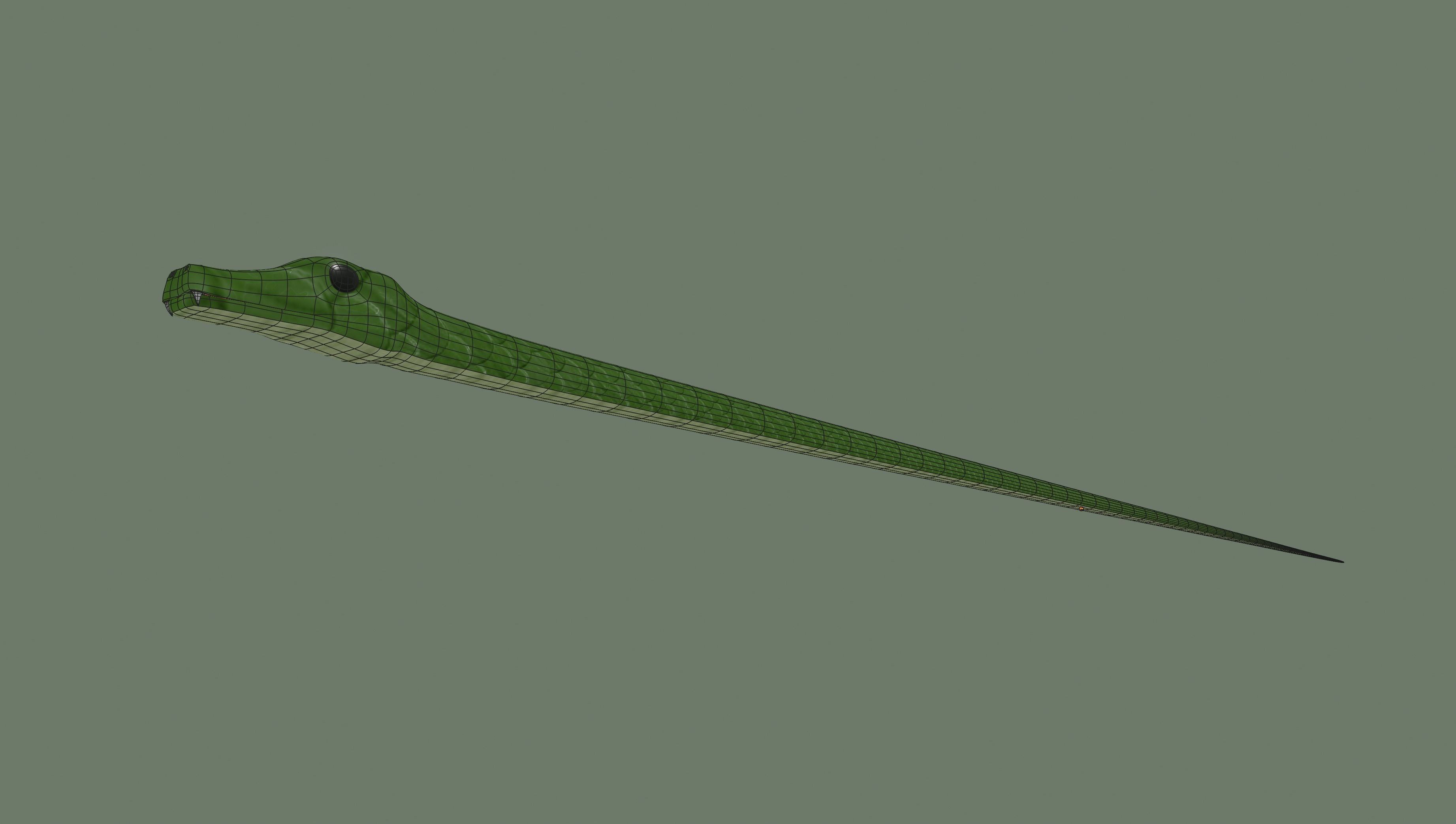 Snake 3D model_8