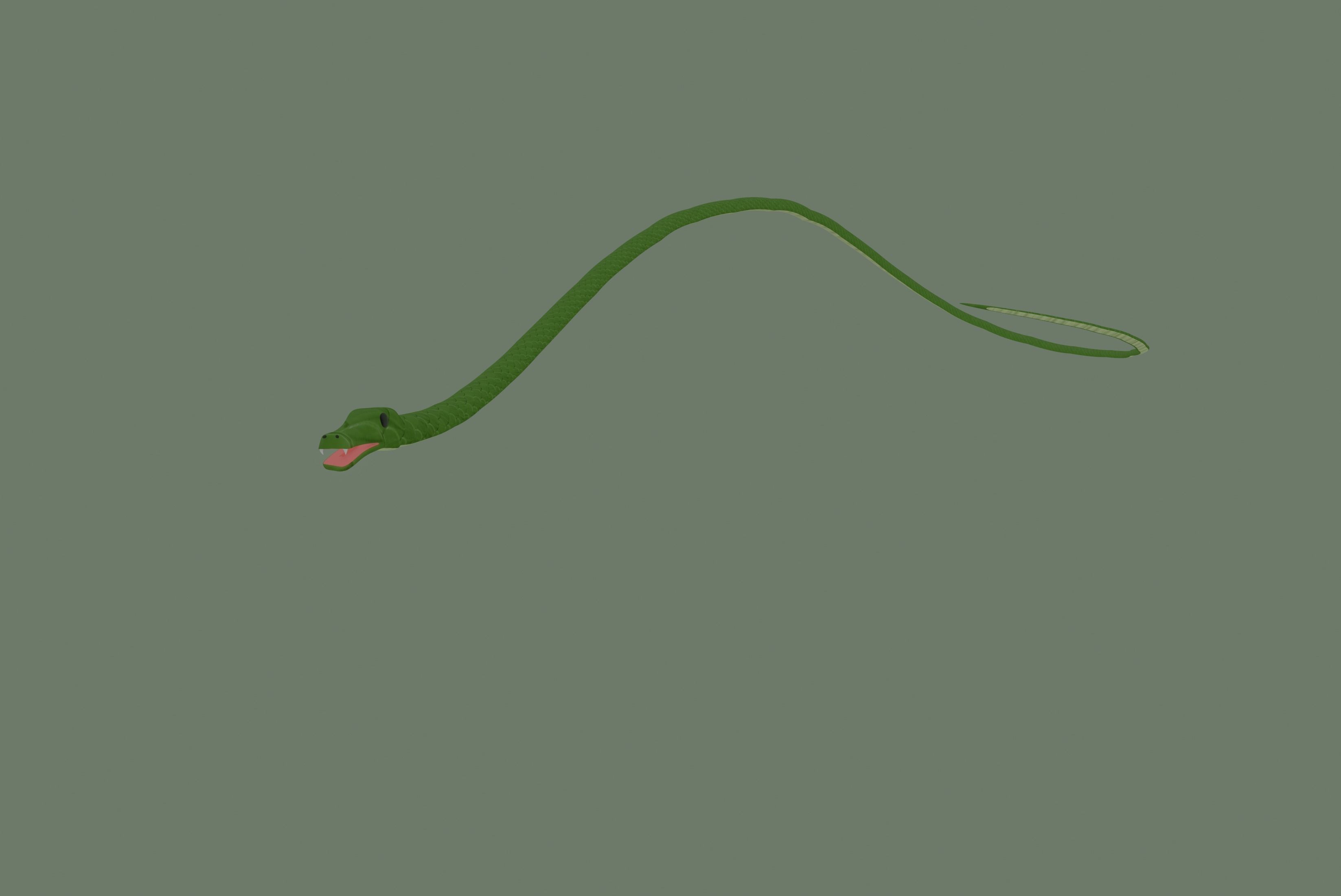 Snake 3D model_2