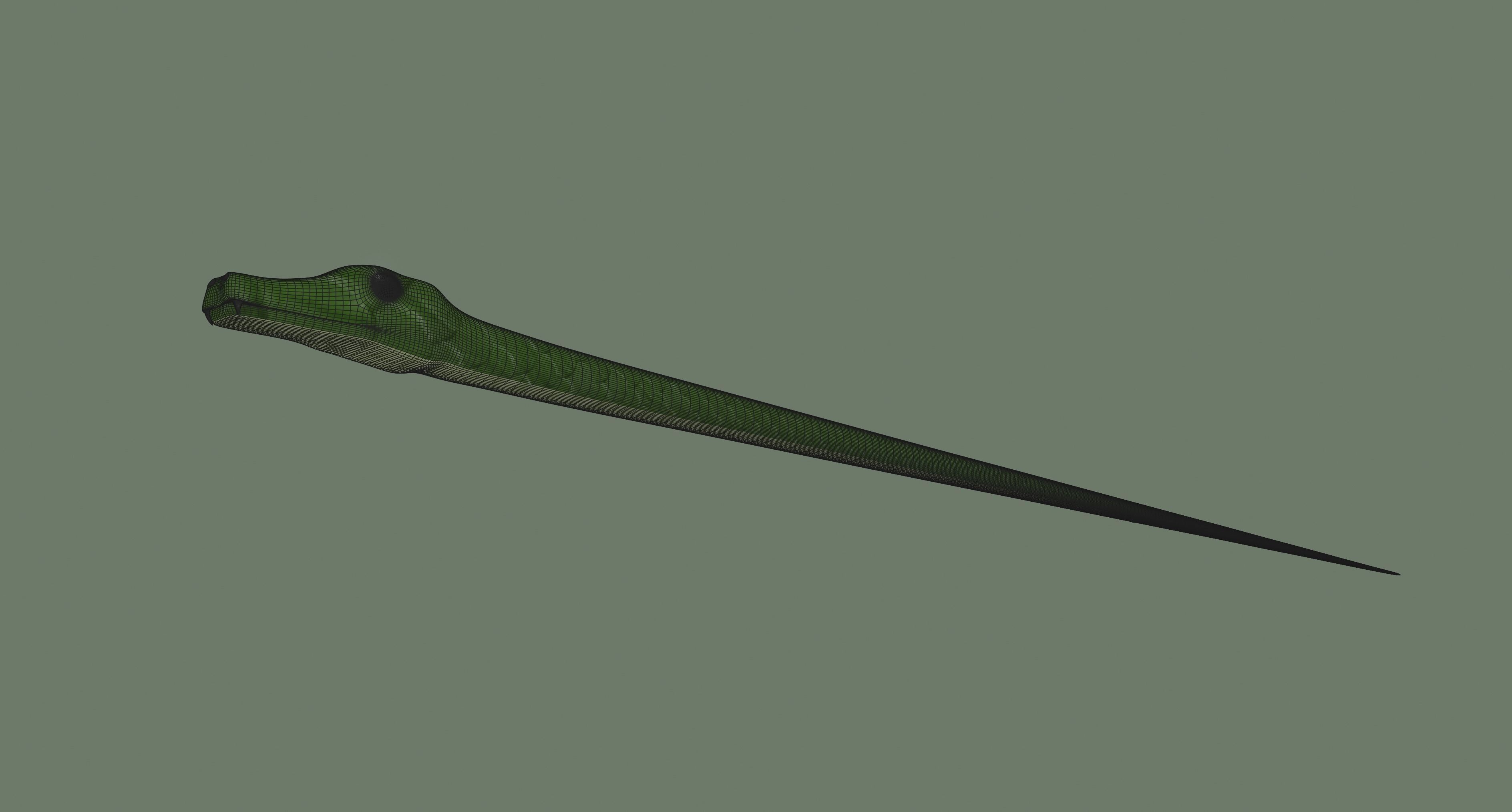 Snake 3D model_10