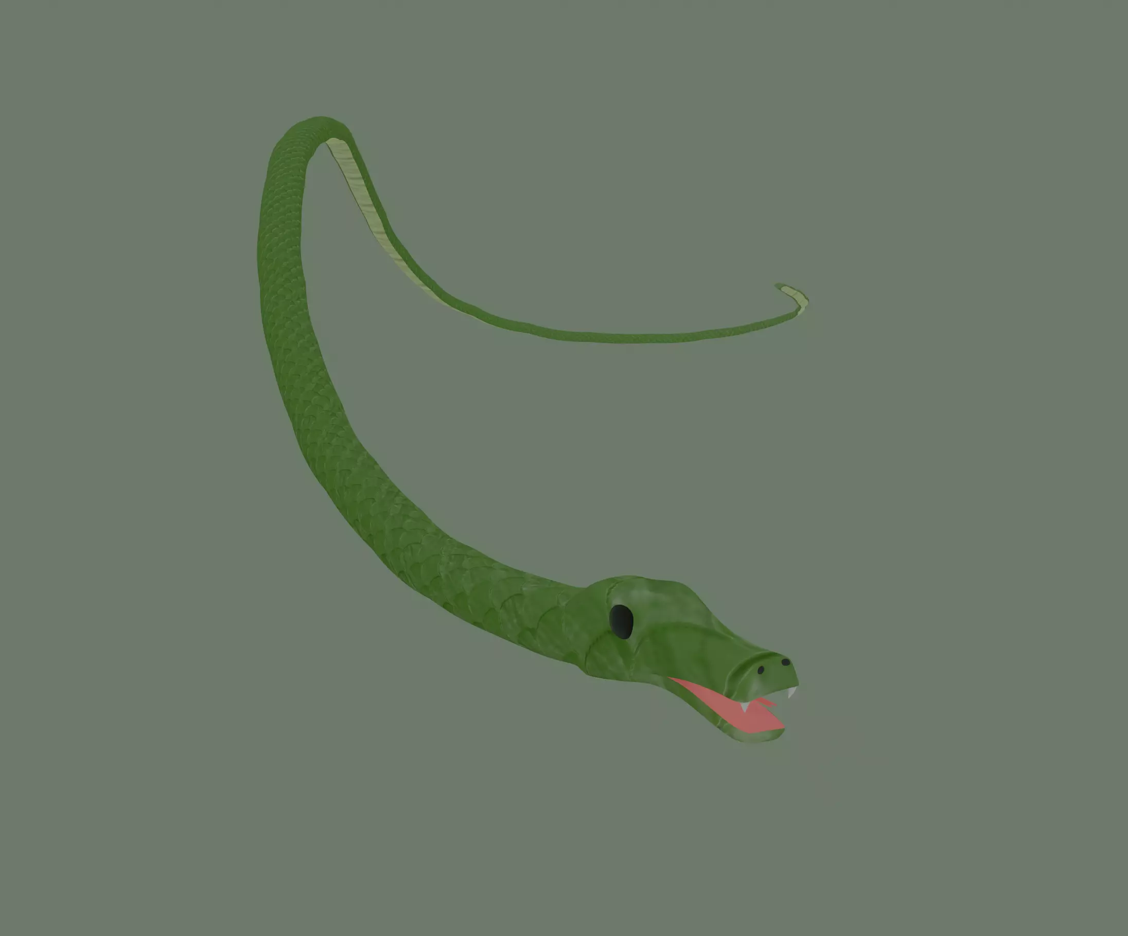 Snake 3D model_0