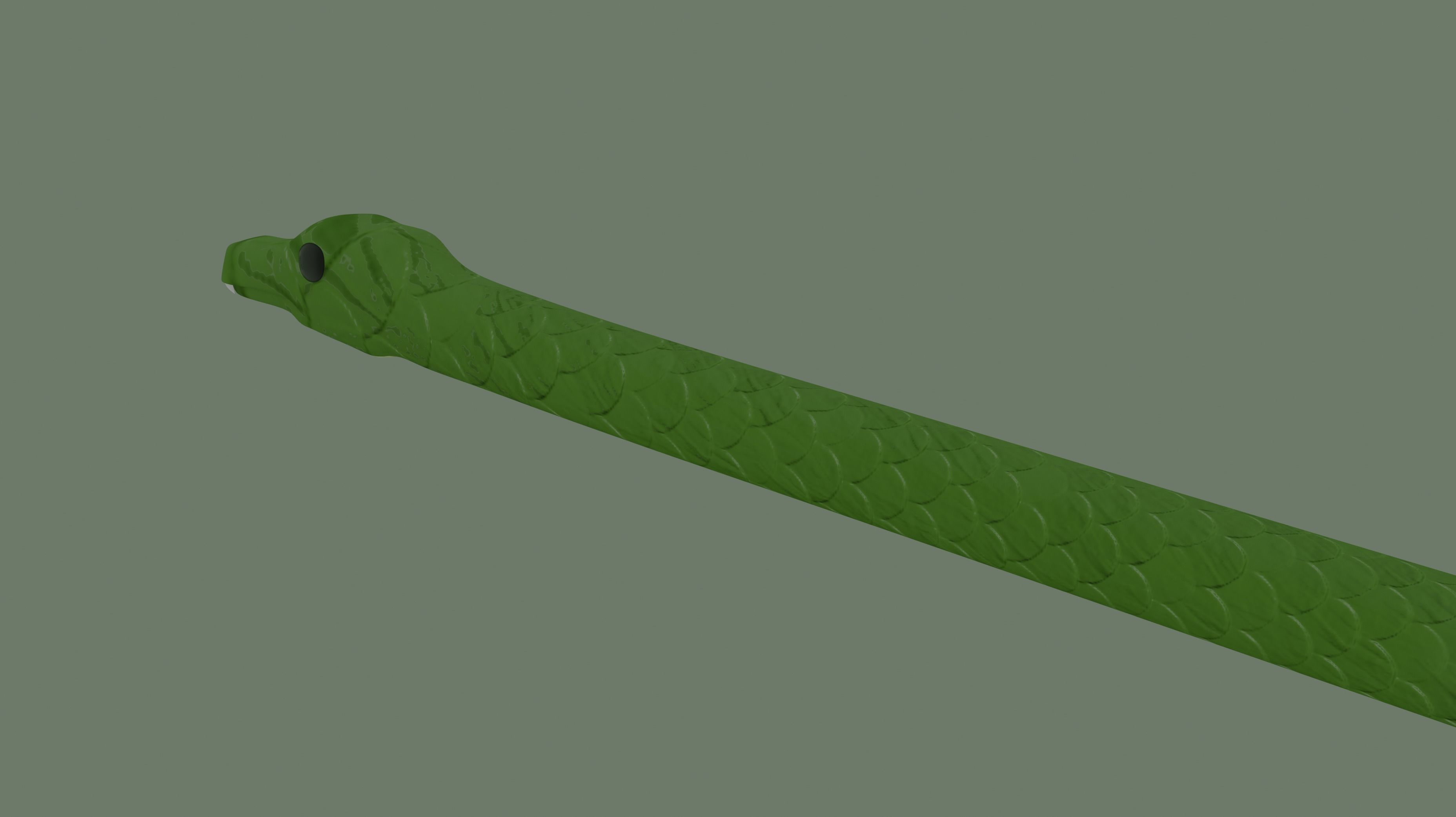 Snake 3D model_6