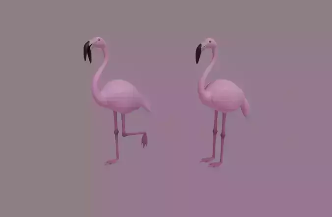 Flamingo 3D model