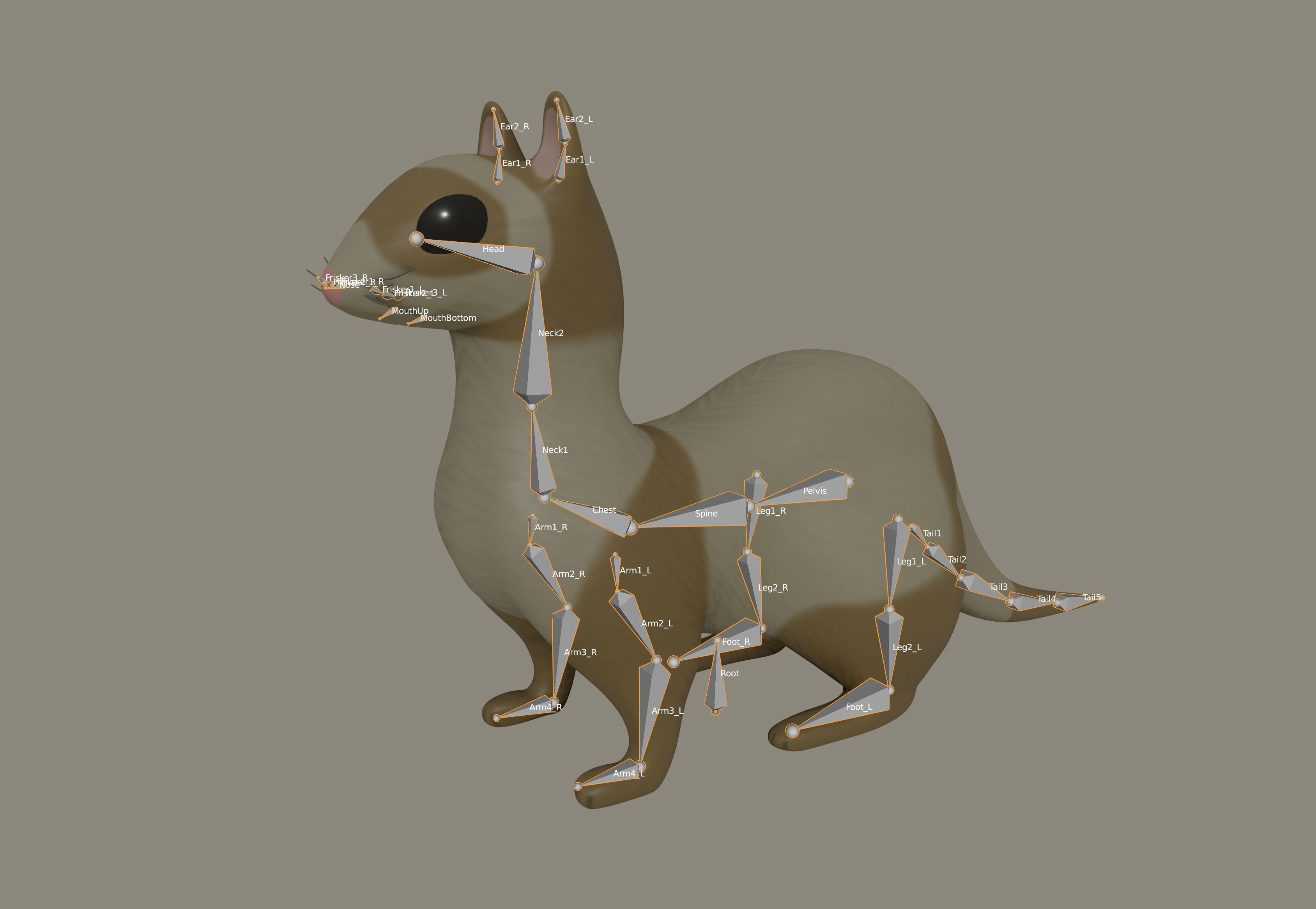Ferret 3D model_9
