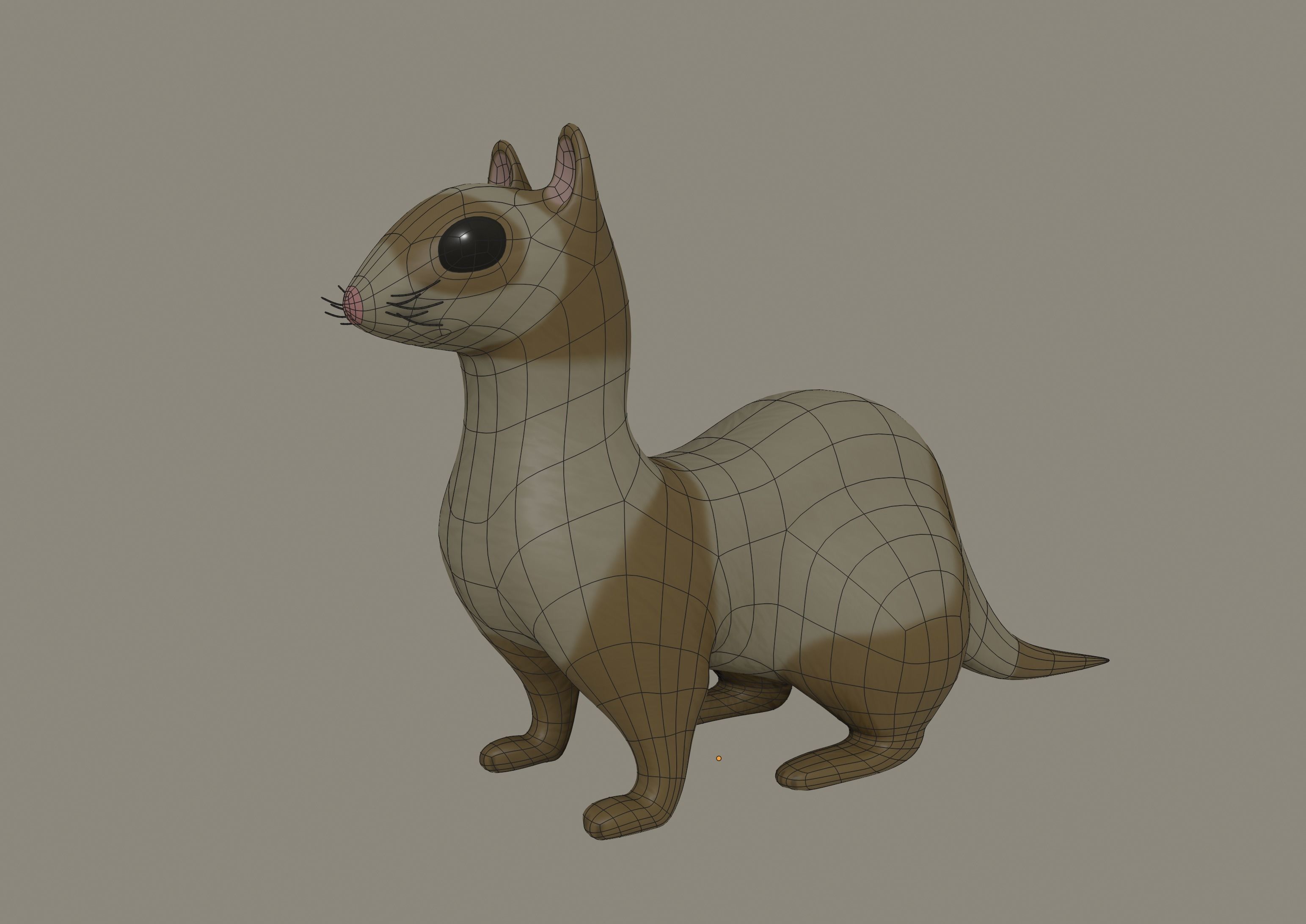 Ferret 3D model_11