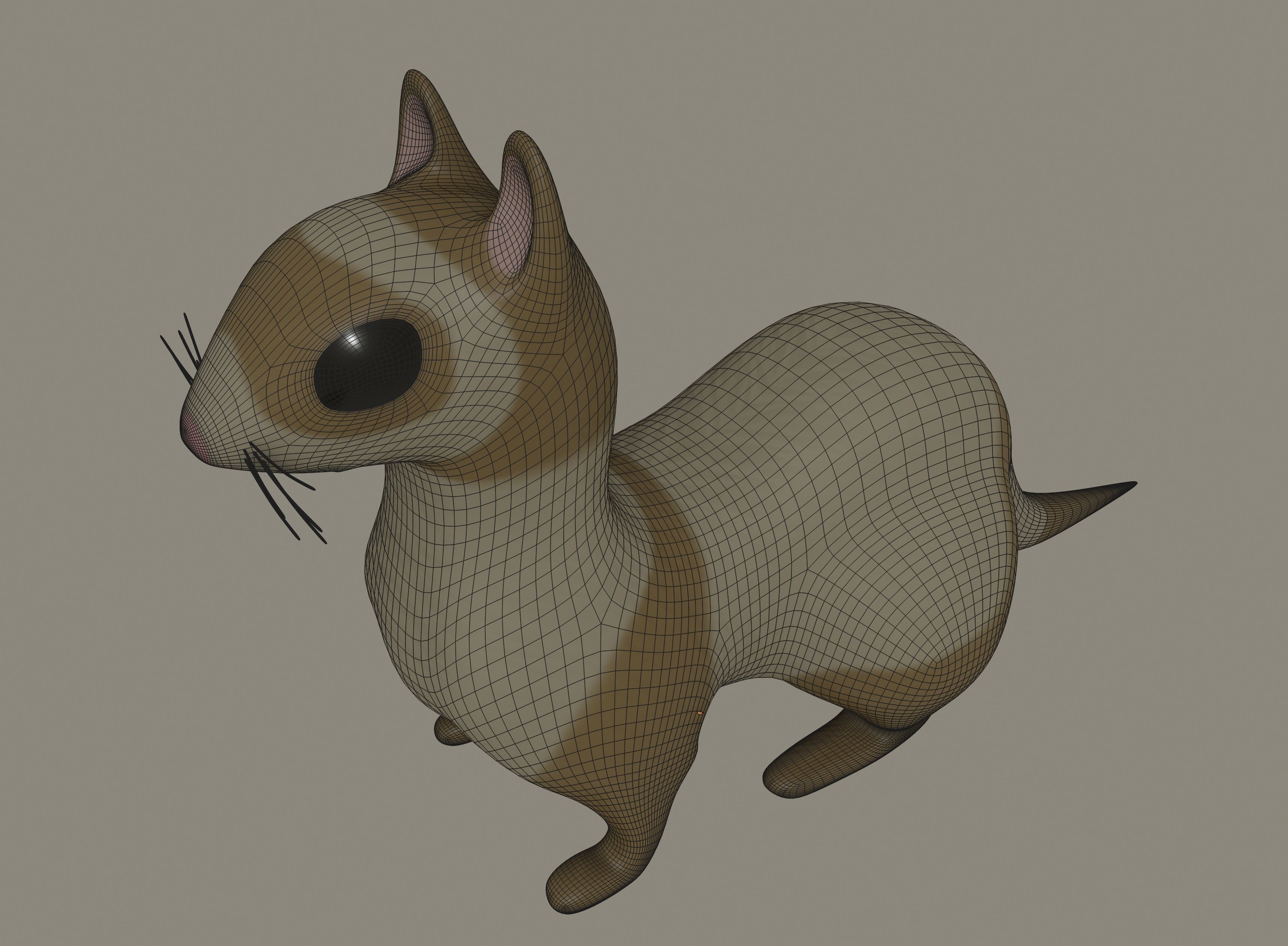 Ferret 3D model_13