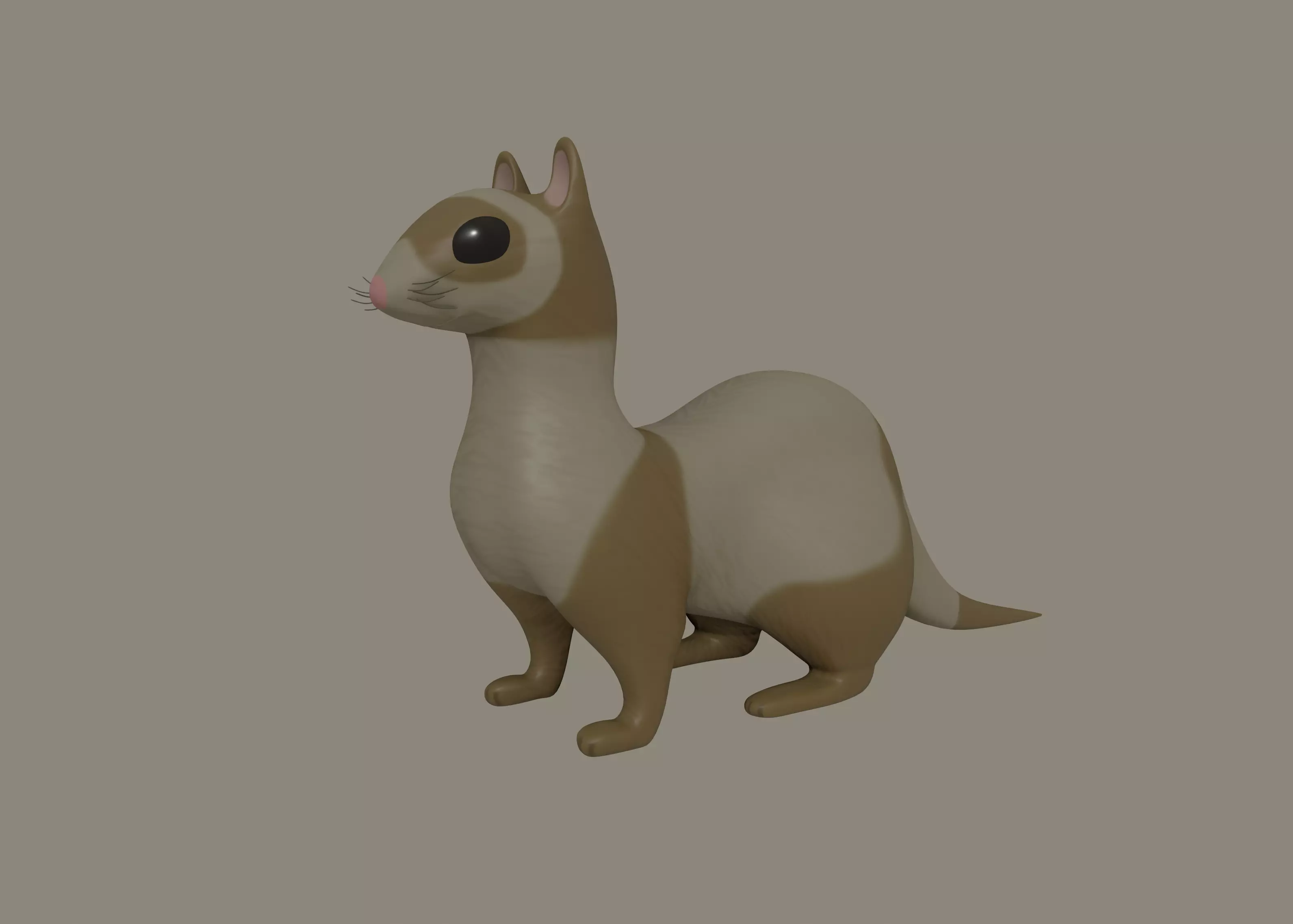Ferret 3D model_0