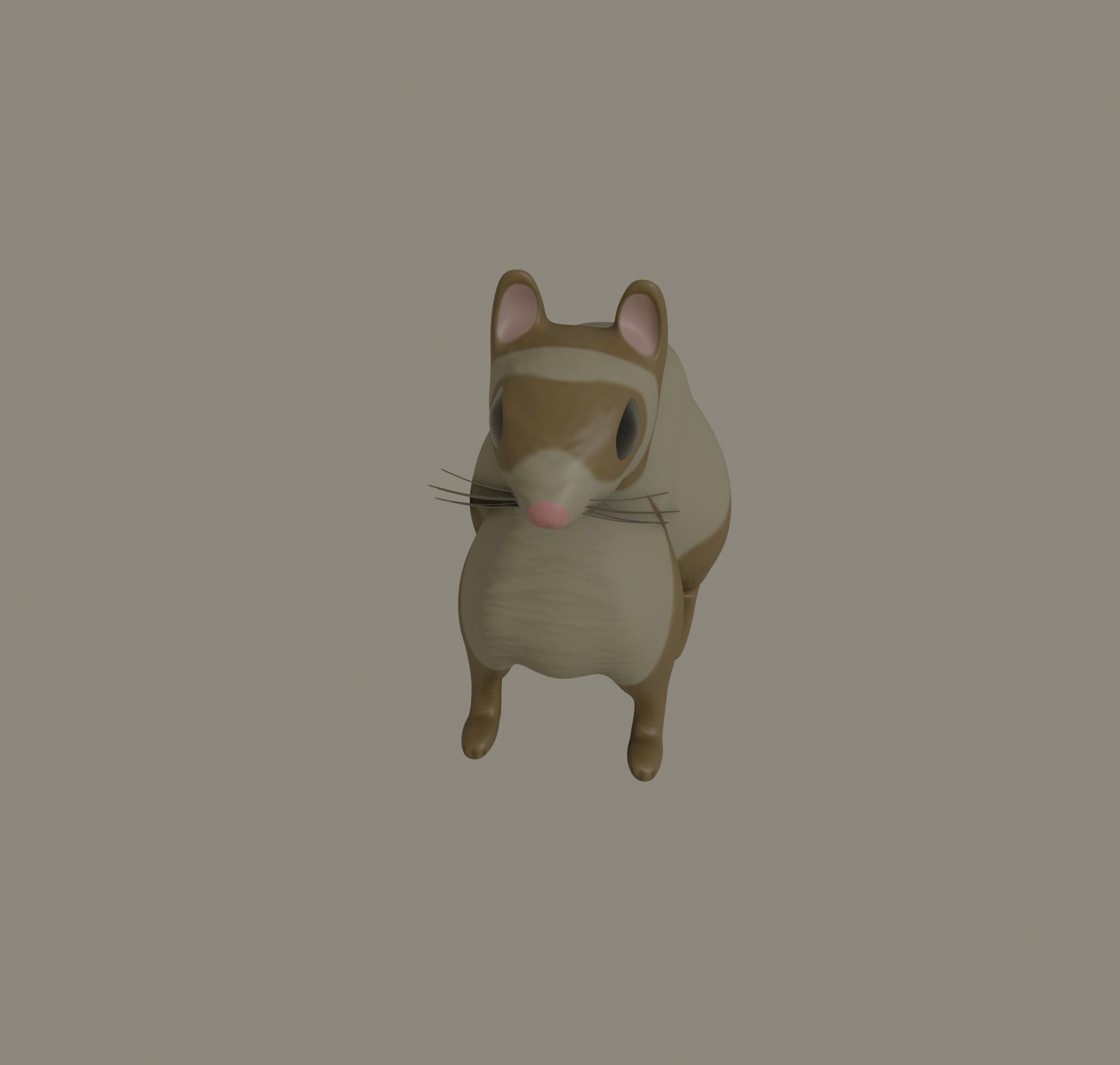 Ferret 3D model_4