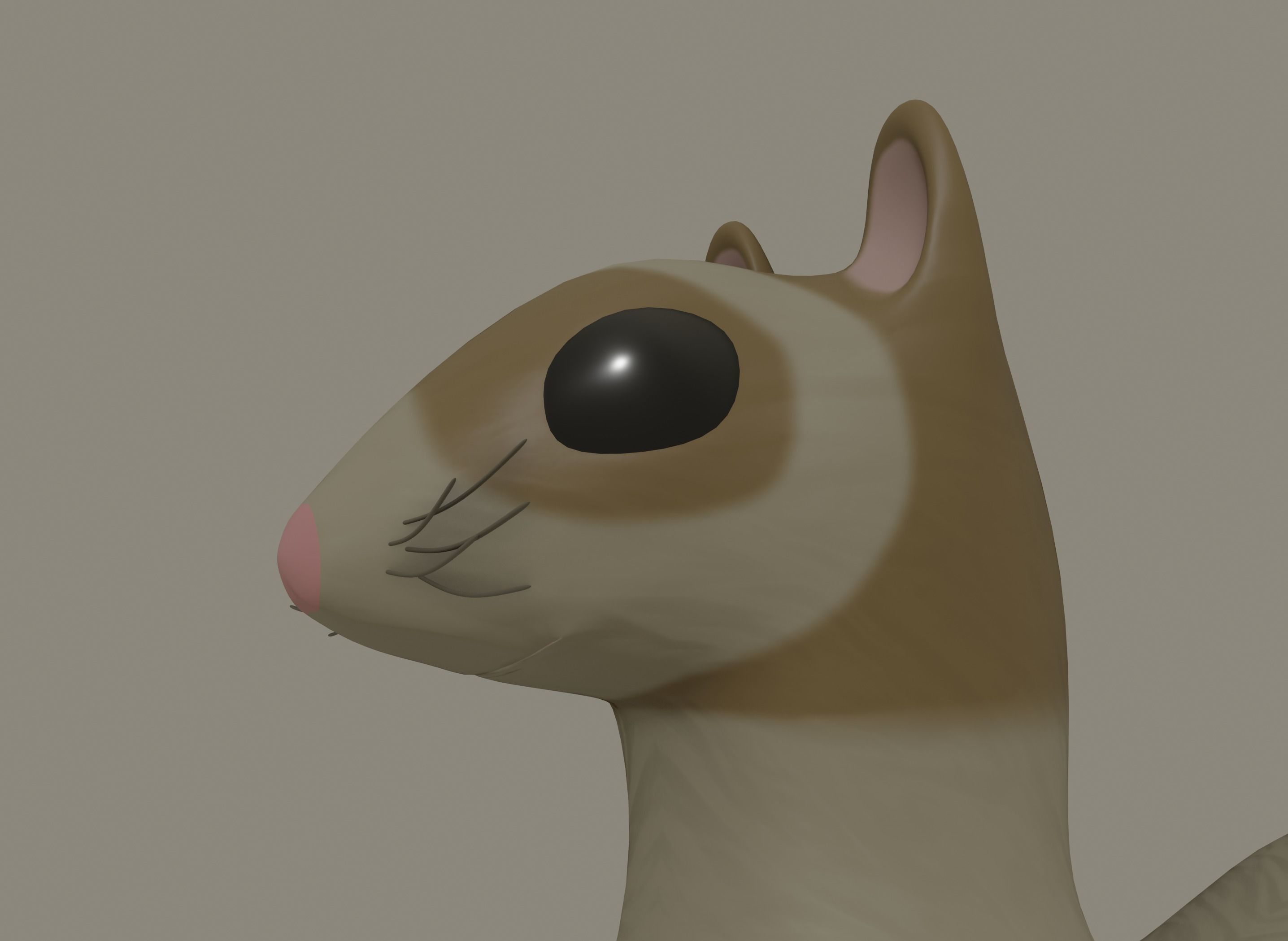 Ferret 3D model_6