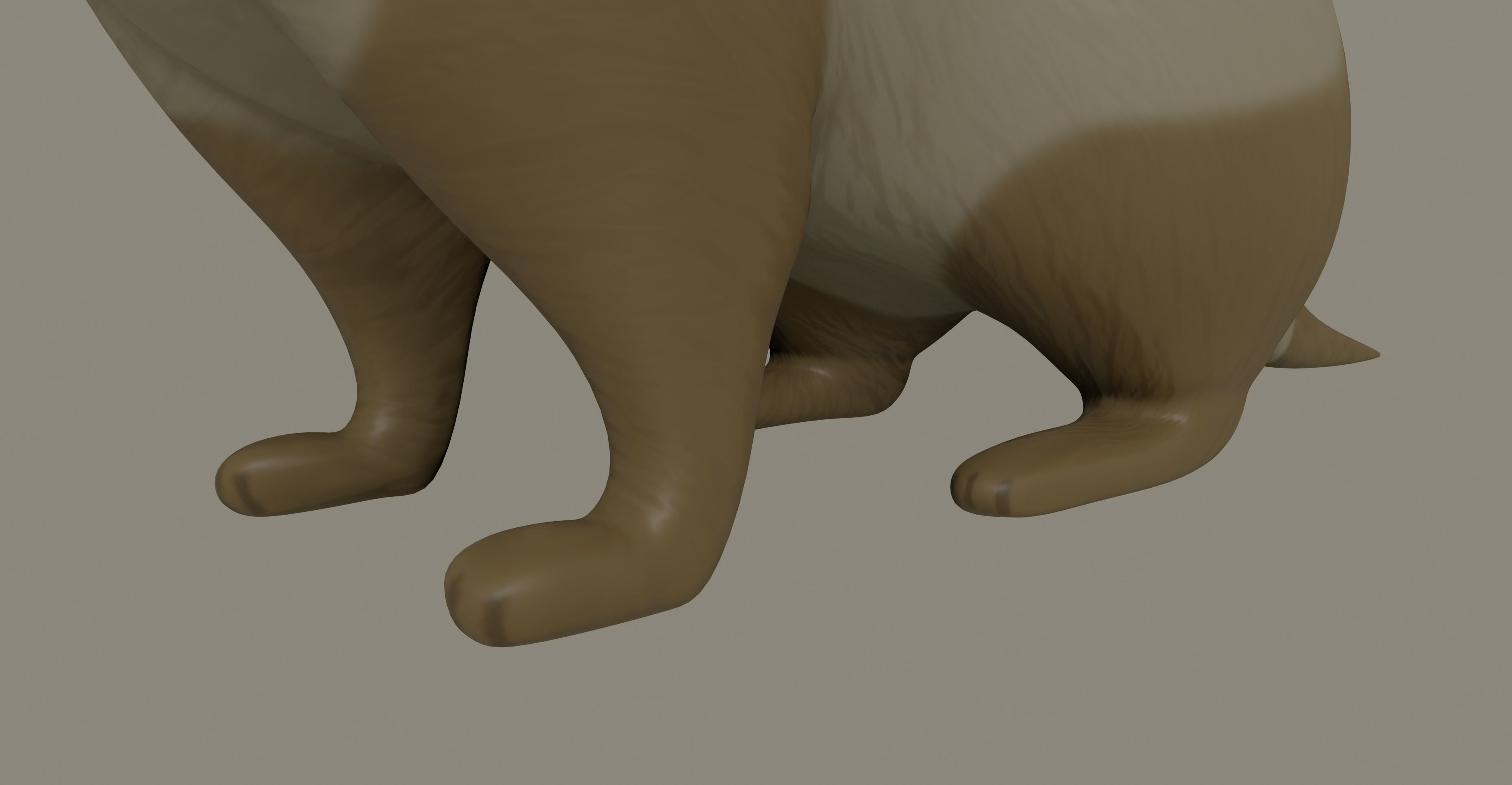 Ferret 3D model_7