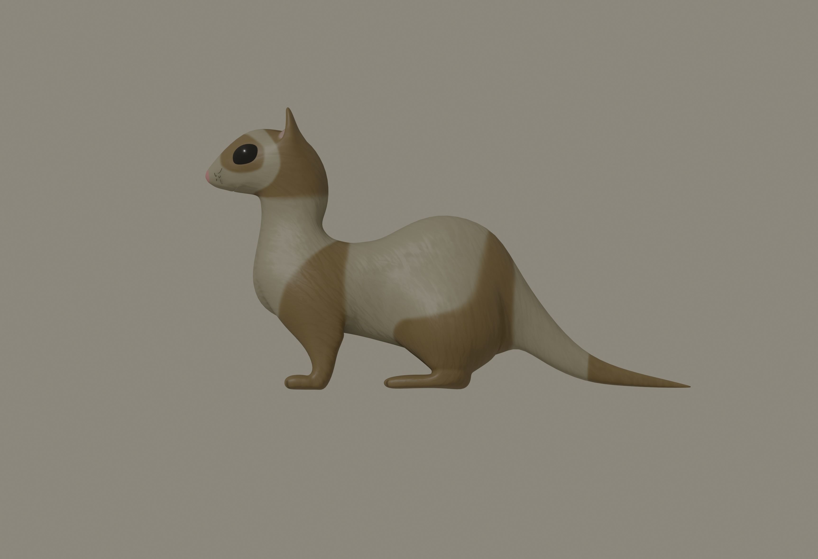 Ferret 3D model_1