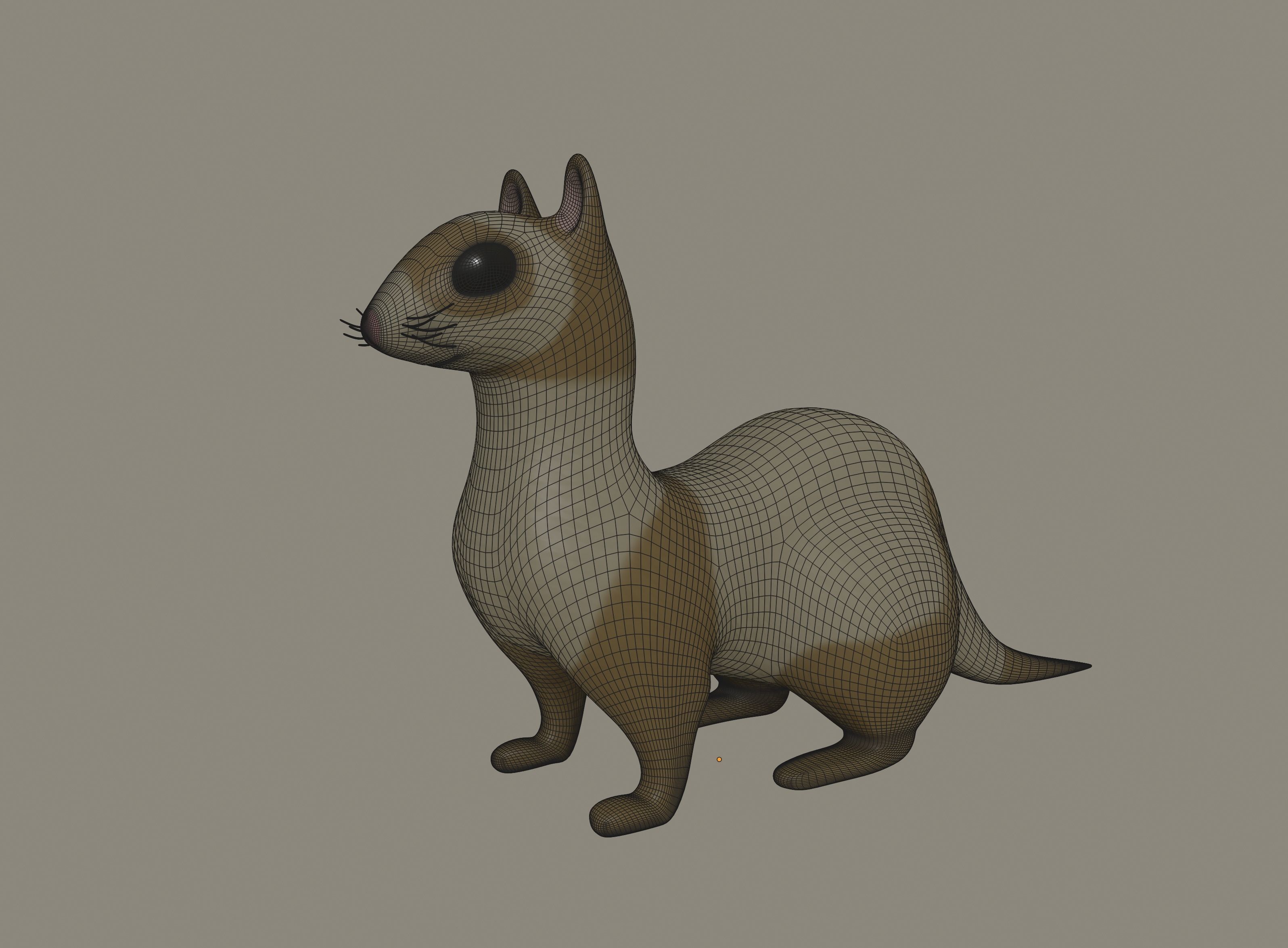 Ferret 3D model_12