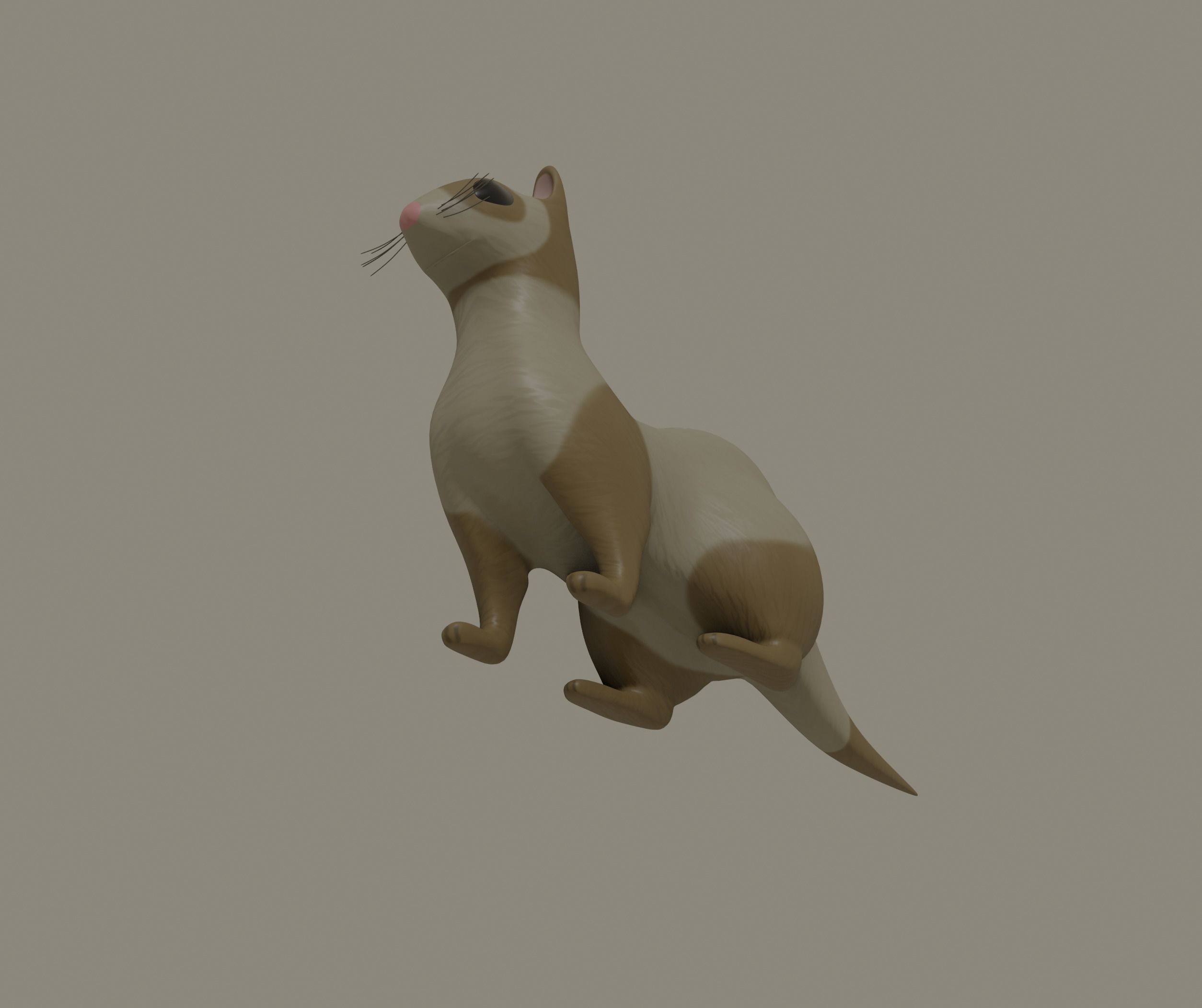Ferret 3D model_3