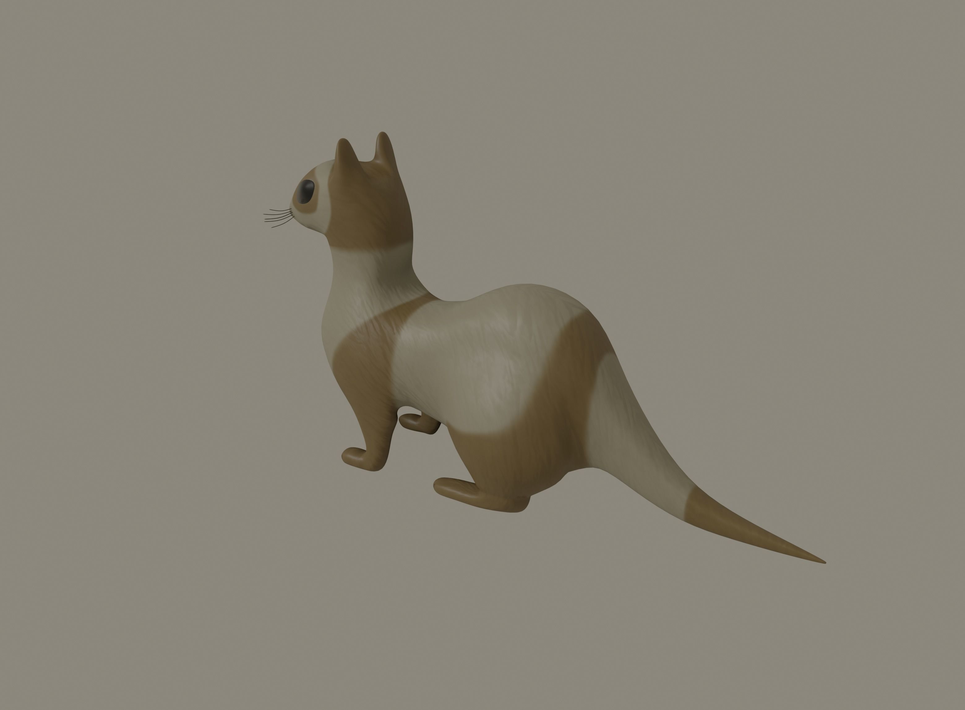 Ferret 3D model_2