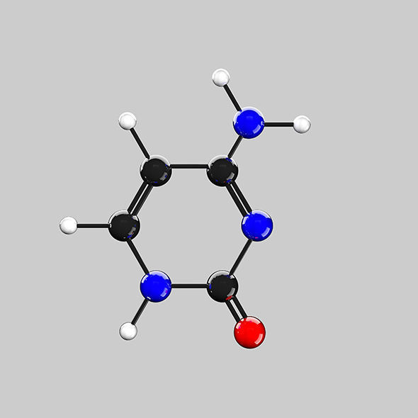 Cytosine ball and stick model 3D model_3