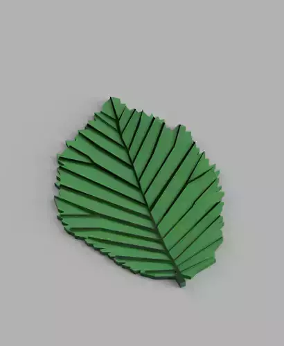 elm leaf 