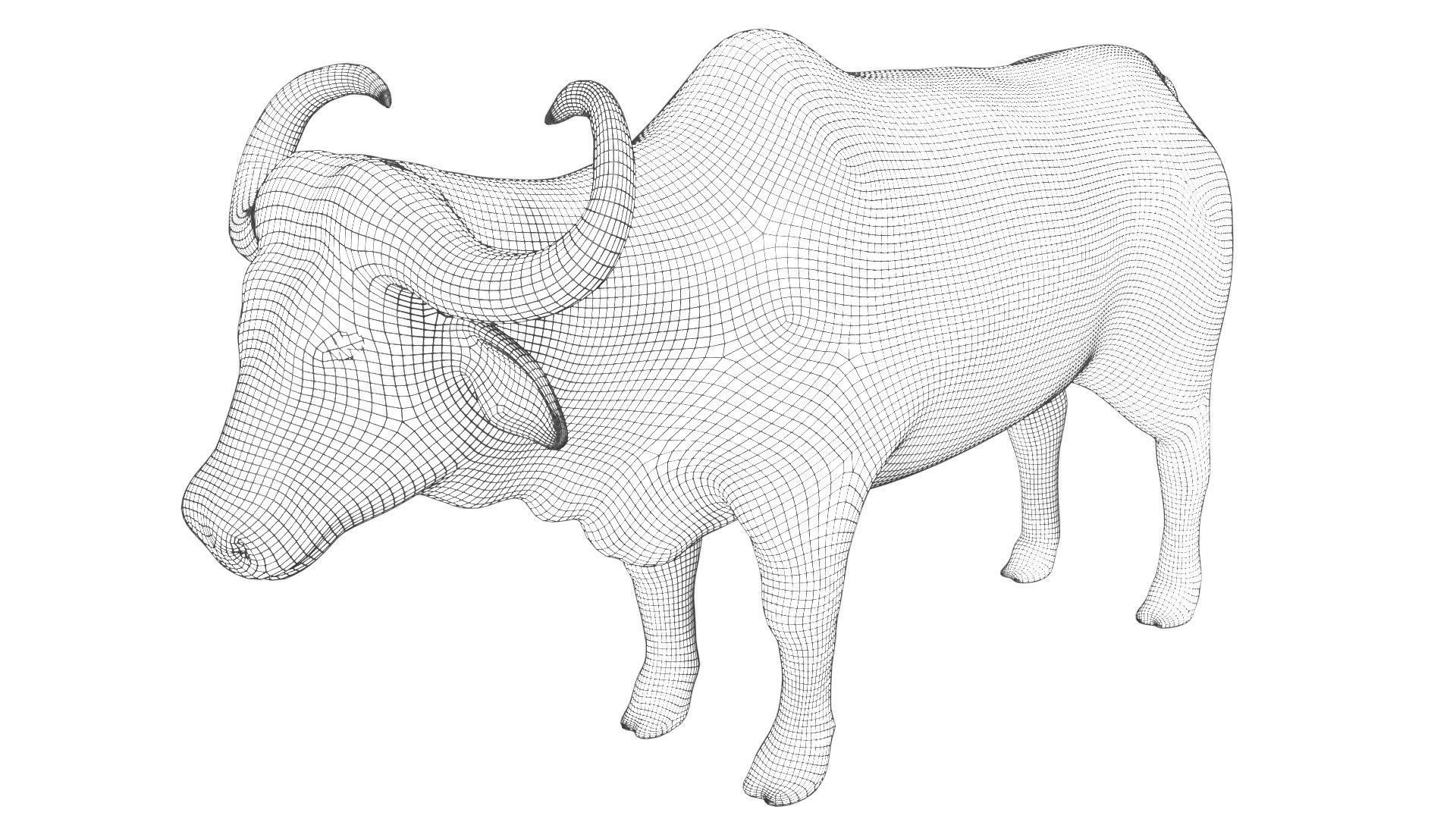 Buffalo fully rigged low poly Low-poly 3D model_9