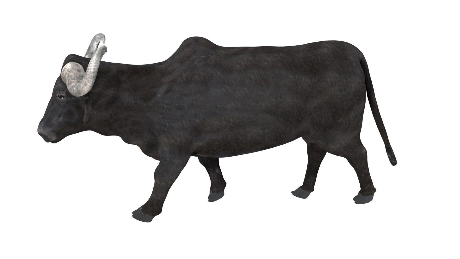 Buffalo fully rigged low poly Low-poly 3D model_5