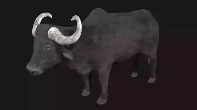 Buffalo fully rigged low poly Low-poly 3D model