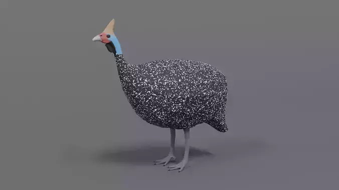 Low Poly Cartoon Helmeted Guineafowl