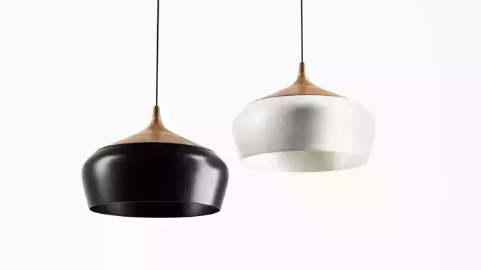 Coco Flip pendant light