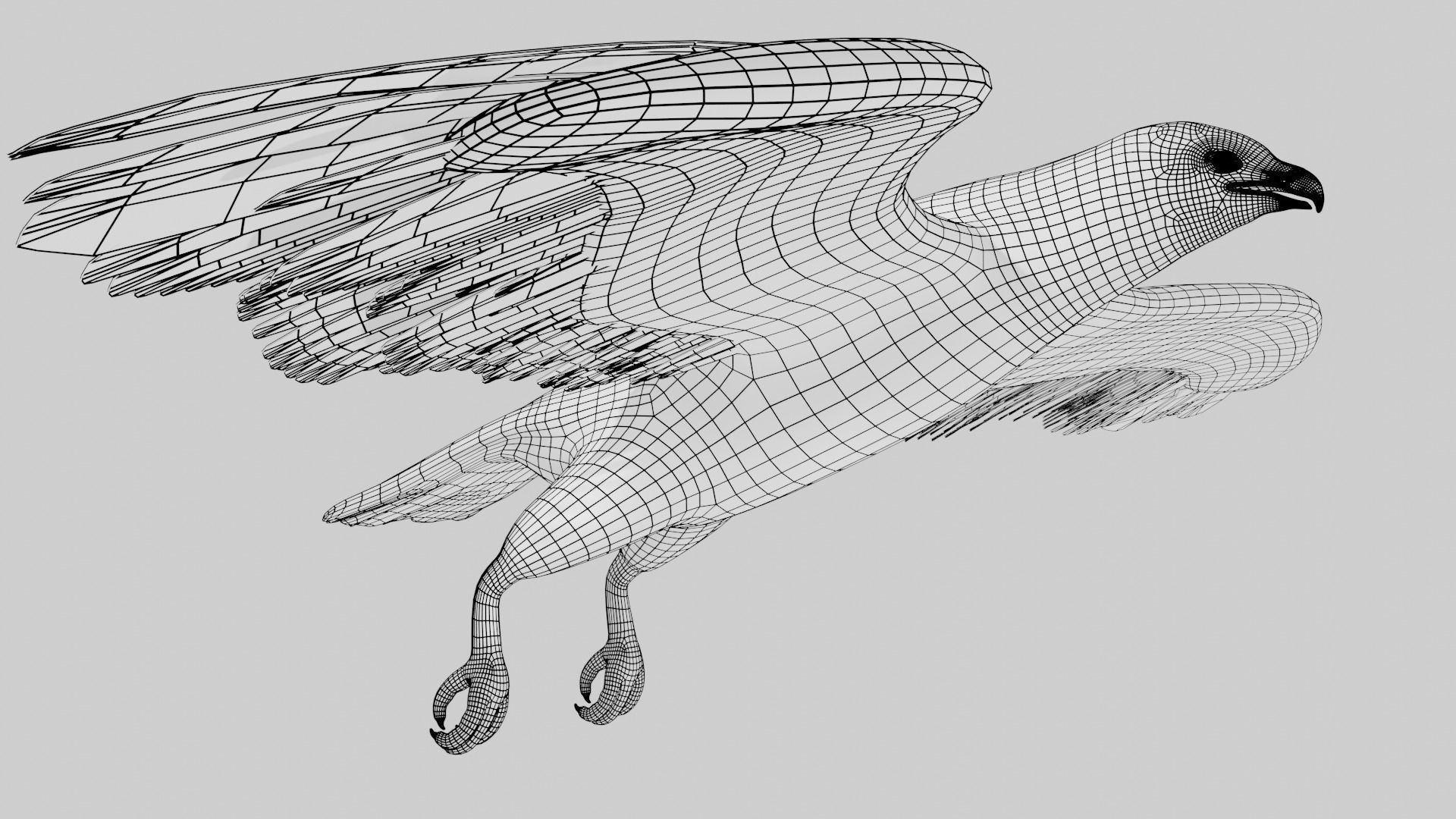 Hawk low poly fully rigged Low-poly 3D model_9