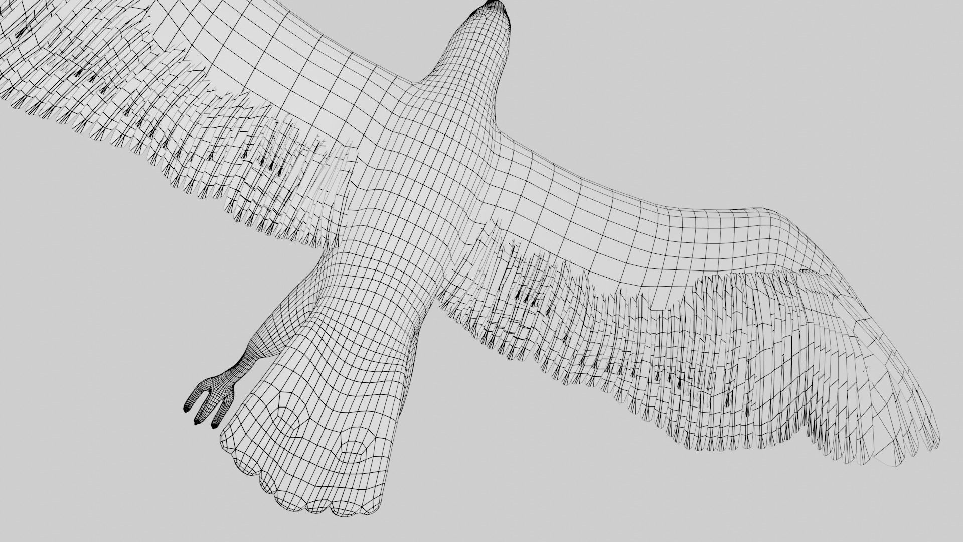 Hawk low poly fully rigged Low-poly 3D model_10