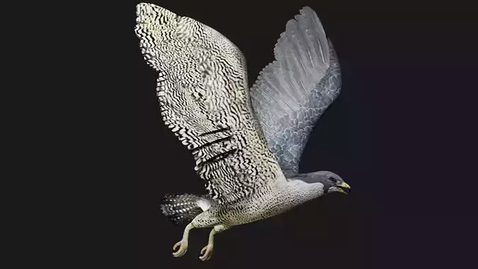Falcon low poly fully rigged Low-poly 3D model