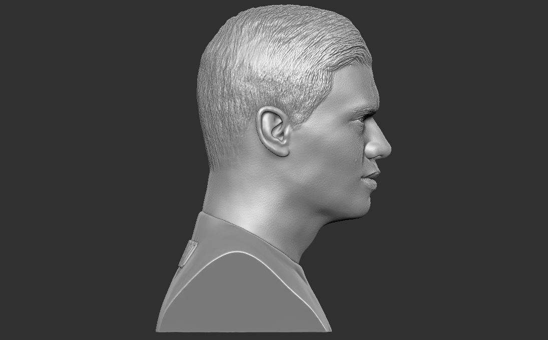 Erling Haaland bust 3D printing ready stl obj formats 3D print model_7