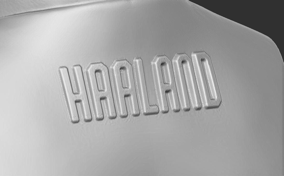 Erling Haaland bust 3D printing ready stl obj formats 3D print model_20