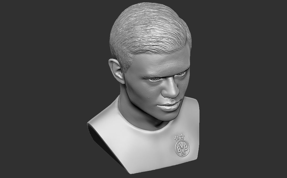 Erling Haaland bust 3D printing ready stl obj formats 3D print model_22