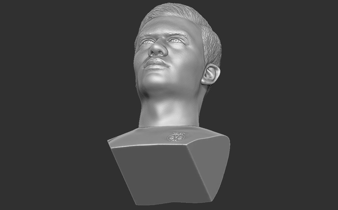 Erling Haaland bust 3D printing ready stl obj formats 3D print model_17