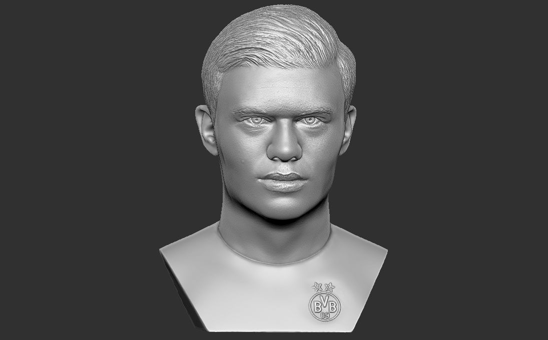 Erling Haaland bust 3D printing ready stl obj formats 3D print model_9