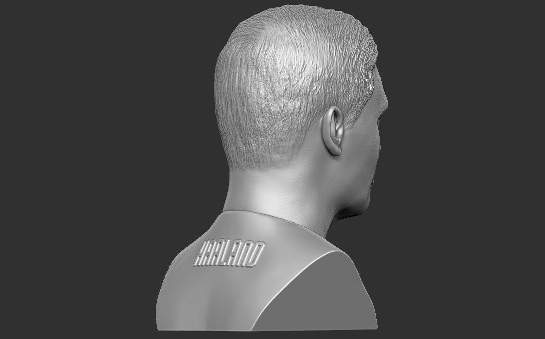 Erling Haaland bust 3D printing ready stl obj formats 3D print model_6