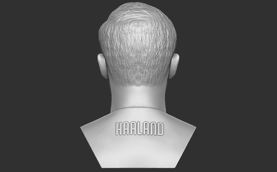 Erling Haaland bust 3D printing ready stl obj formats 3D print model_5