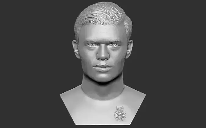 Erling Haaland bust 3D printing ready stl obj formats 3D print model