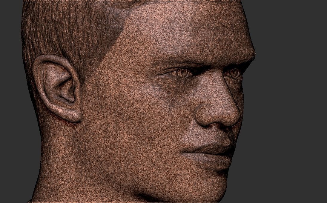 Erling Haaland bust 3D printing ready stl obj formats 3D print model_27