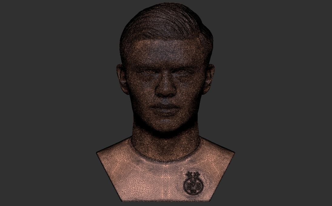 Erling Haaland bust 3D printing ready stl obj formats 3D print model_24