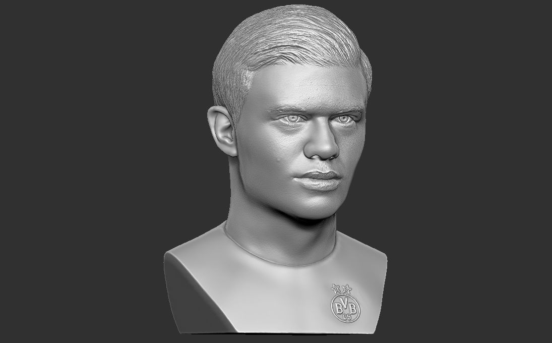 Erling Haaland bust 3D printing ready stl obj formats 3D print model_8